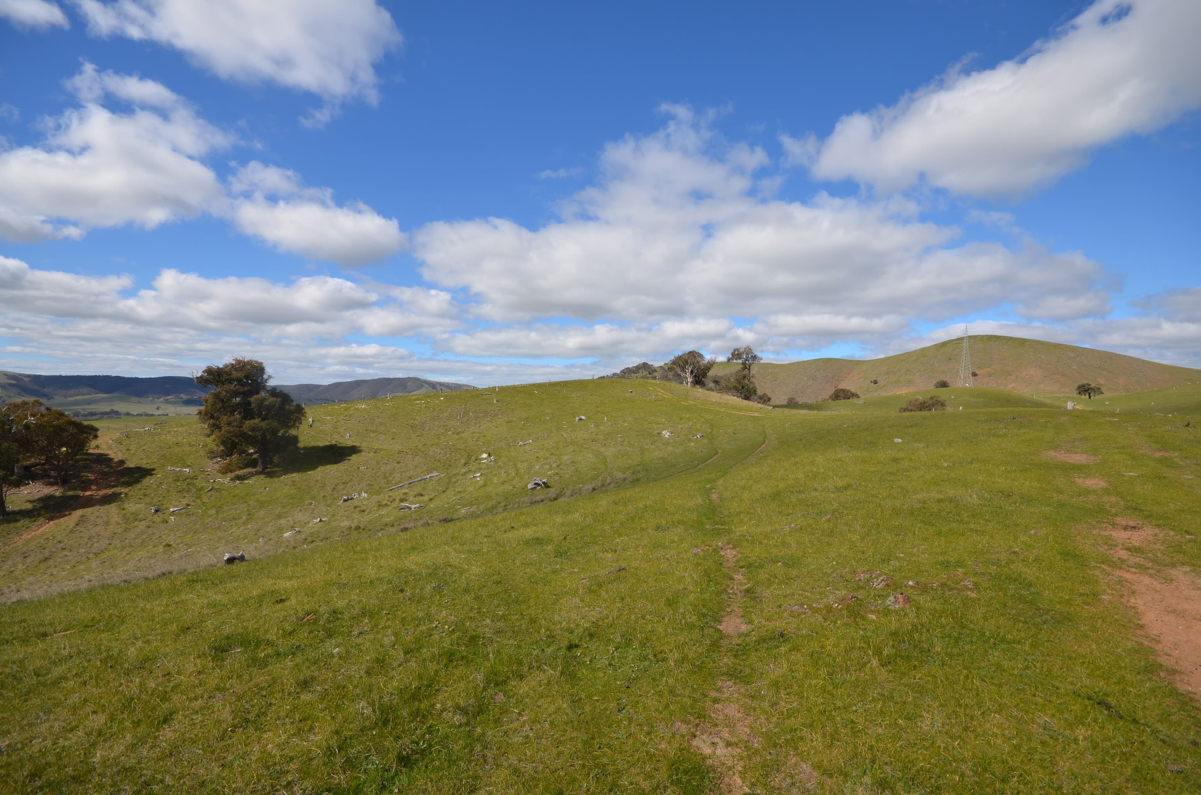 CA 209 Townsing Road, AMPHITHEATRE VIC 3468, Amphitheatre - Thumbnail 4