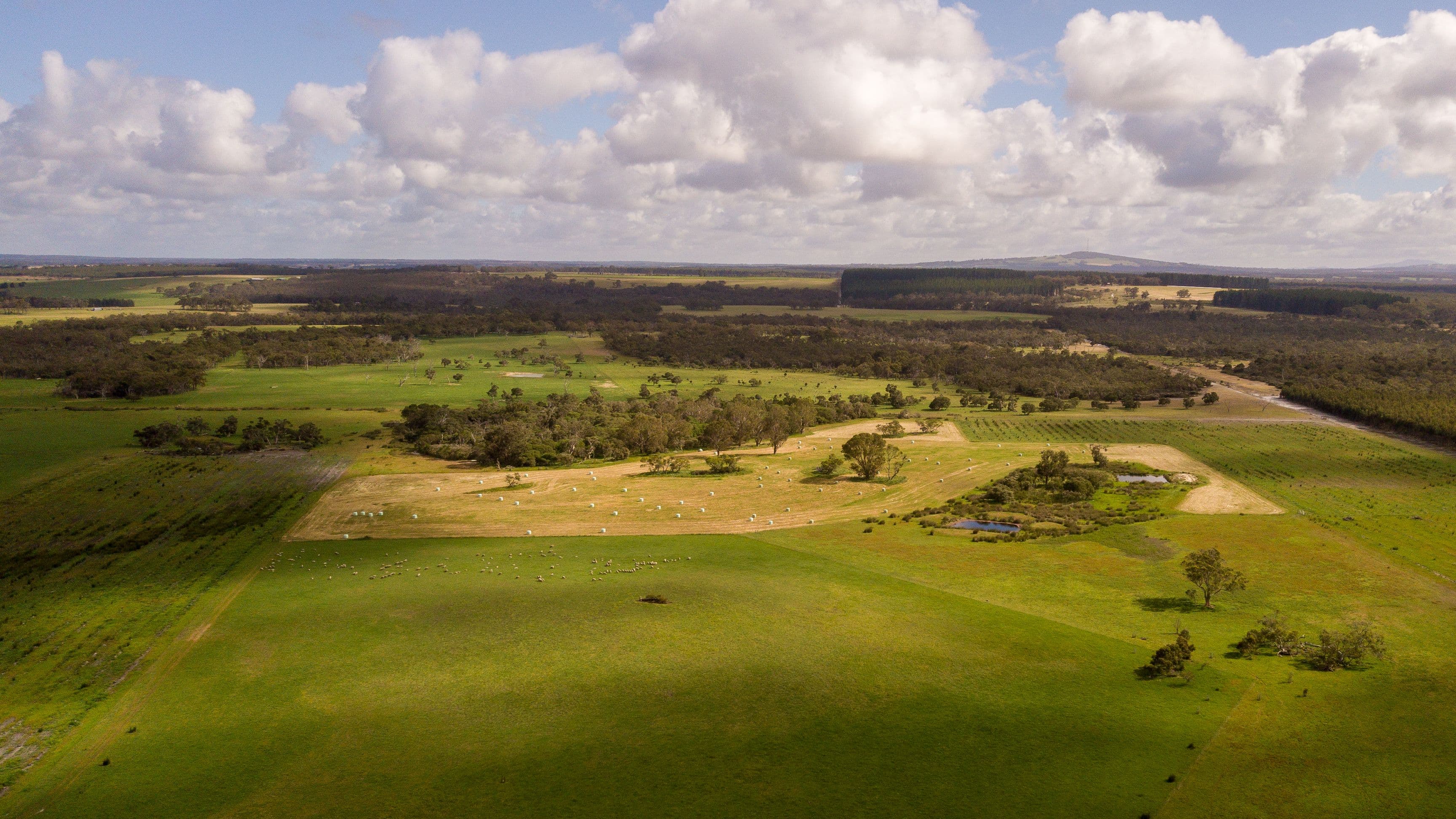 258 Greeuw Road, Narrikup WA 6326, Narrikup - Thumbnail 5