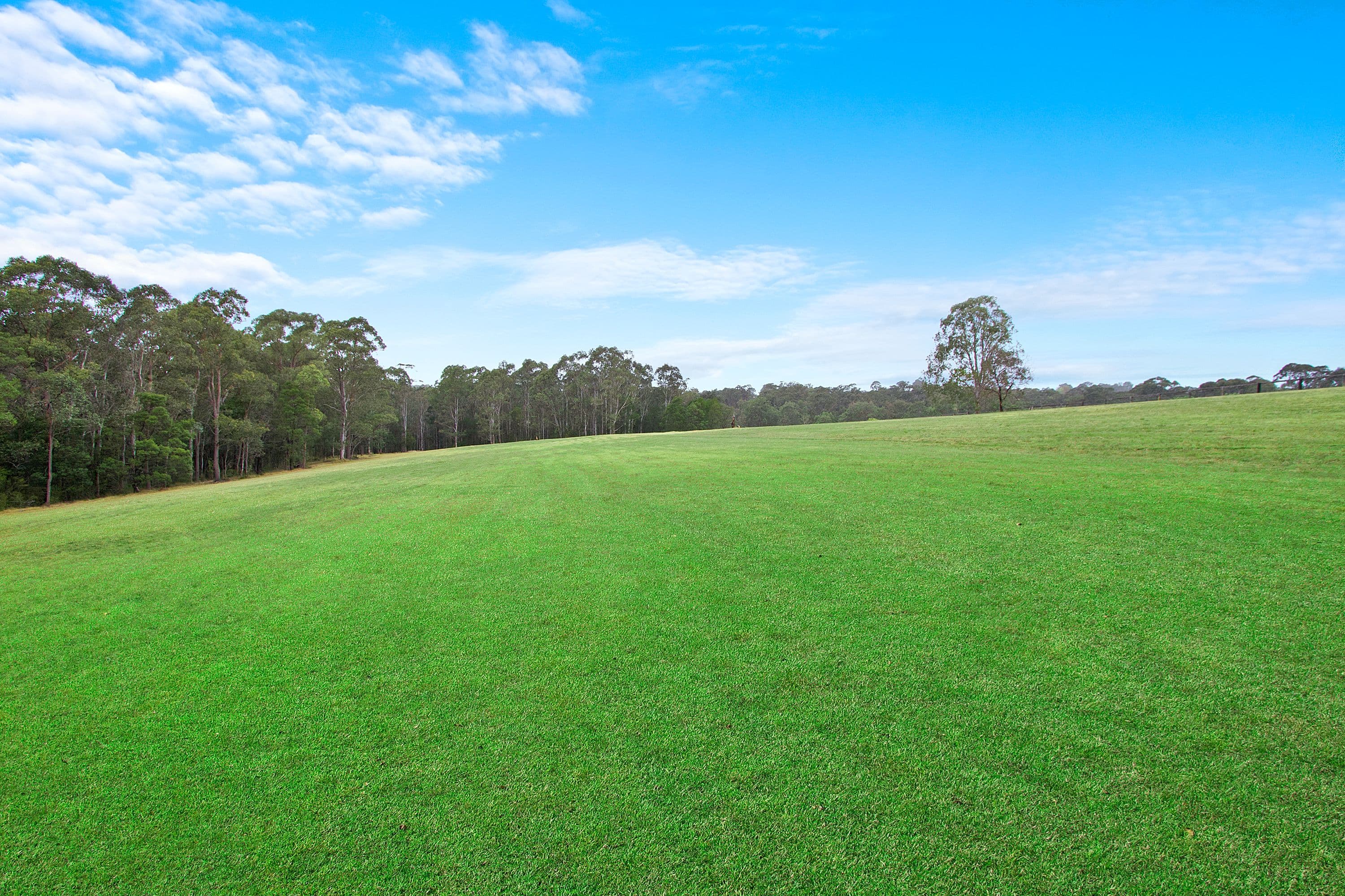 405 Slopes Road, Kurmond NSW 2757, Kurmond - Thumbnail 3