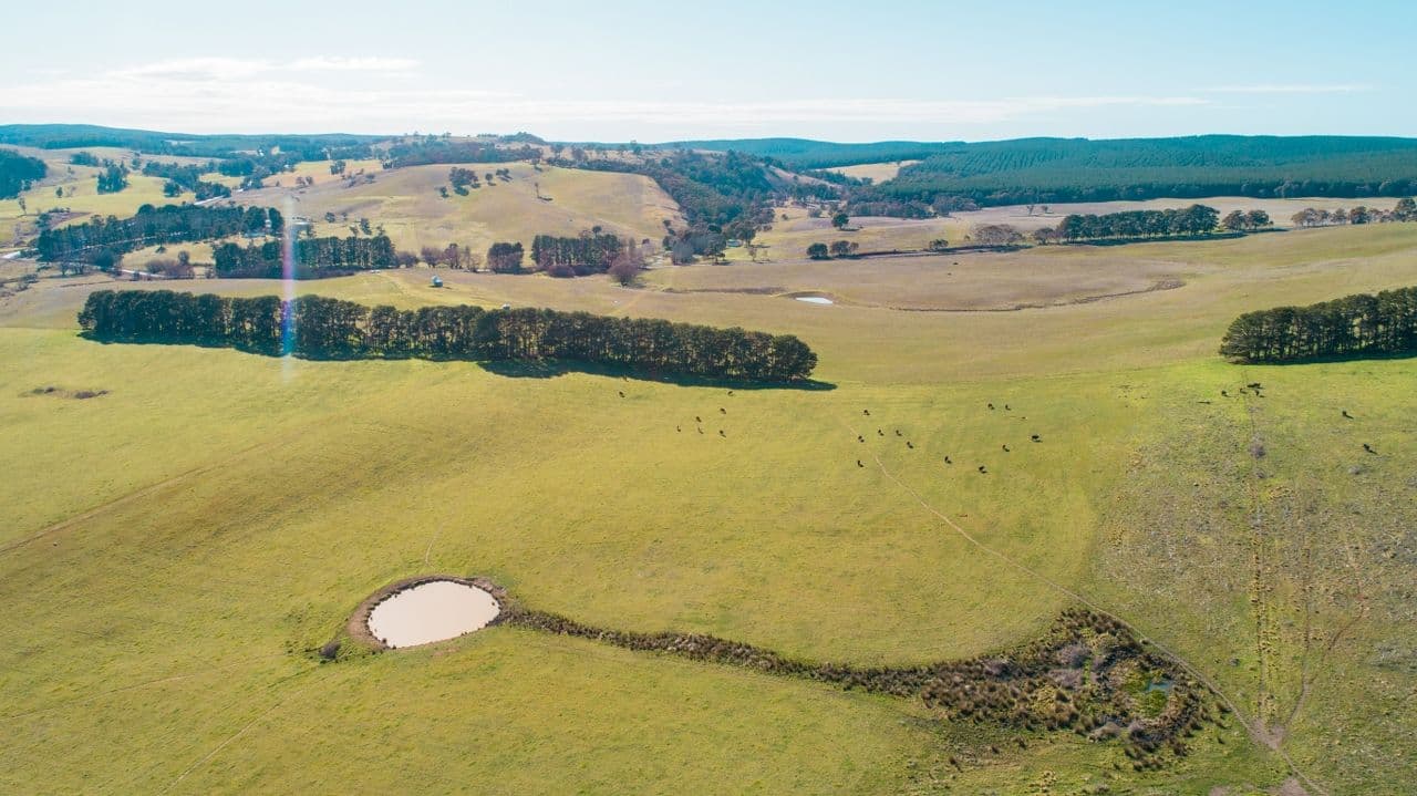 4185 Abercrombie Road, Oberon NSW 2787, Oberon - Thumbnail 3