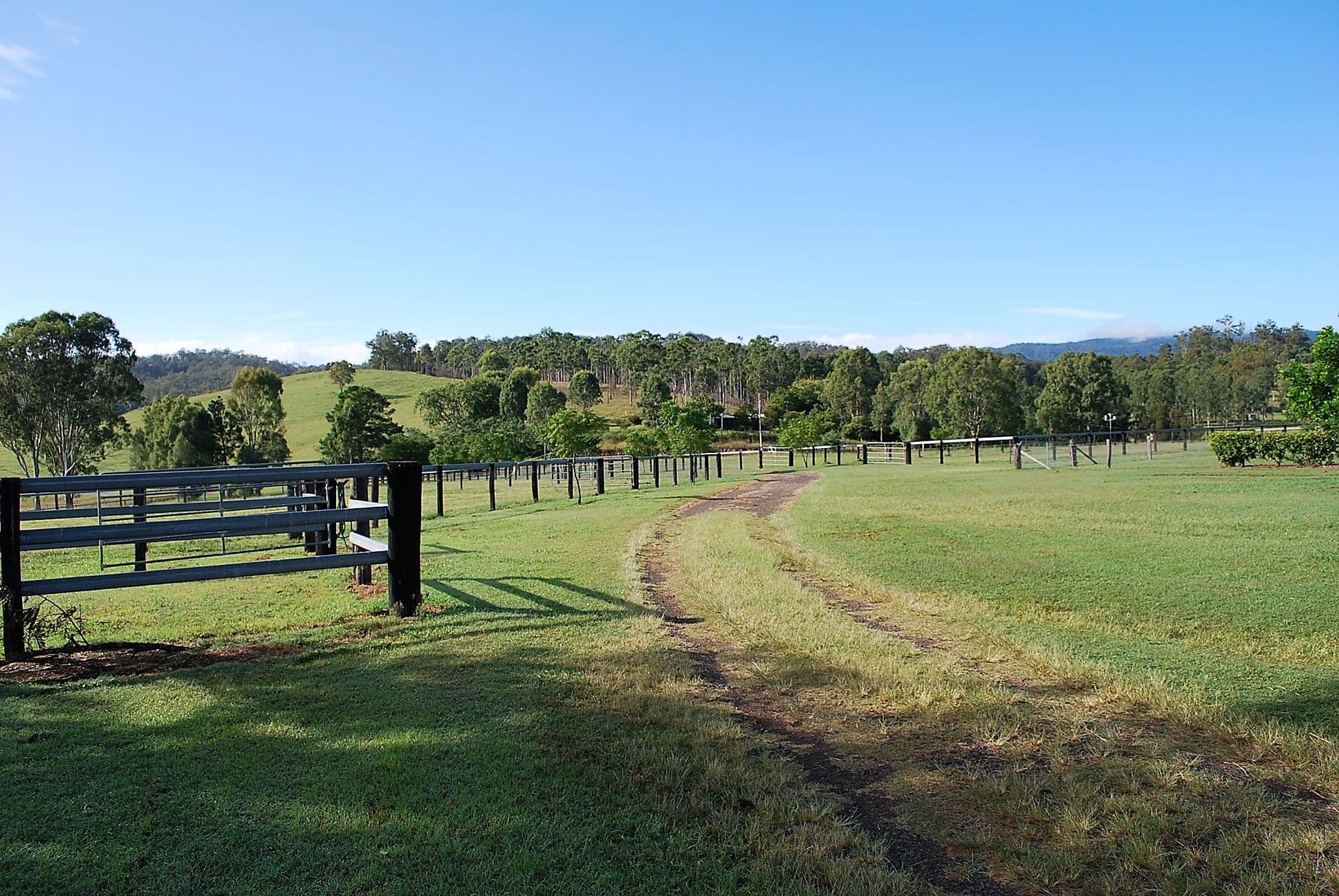 10822 Mount Lindesay Highway, Palen Creek QLD 4287, Palen Creek - Image 1