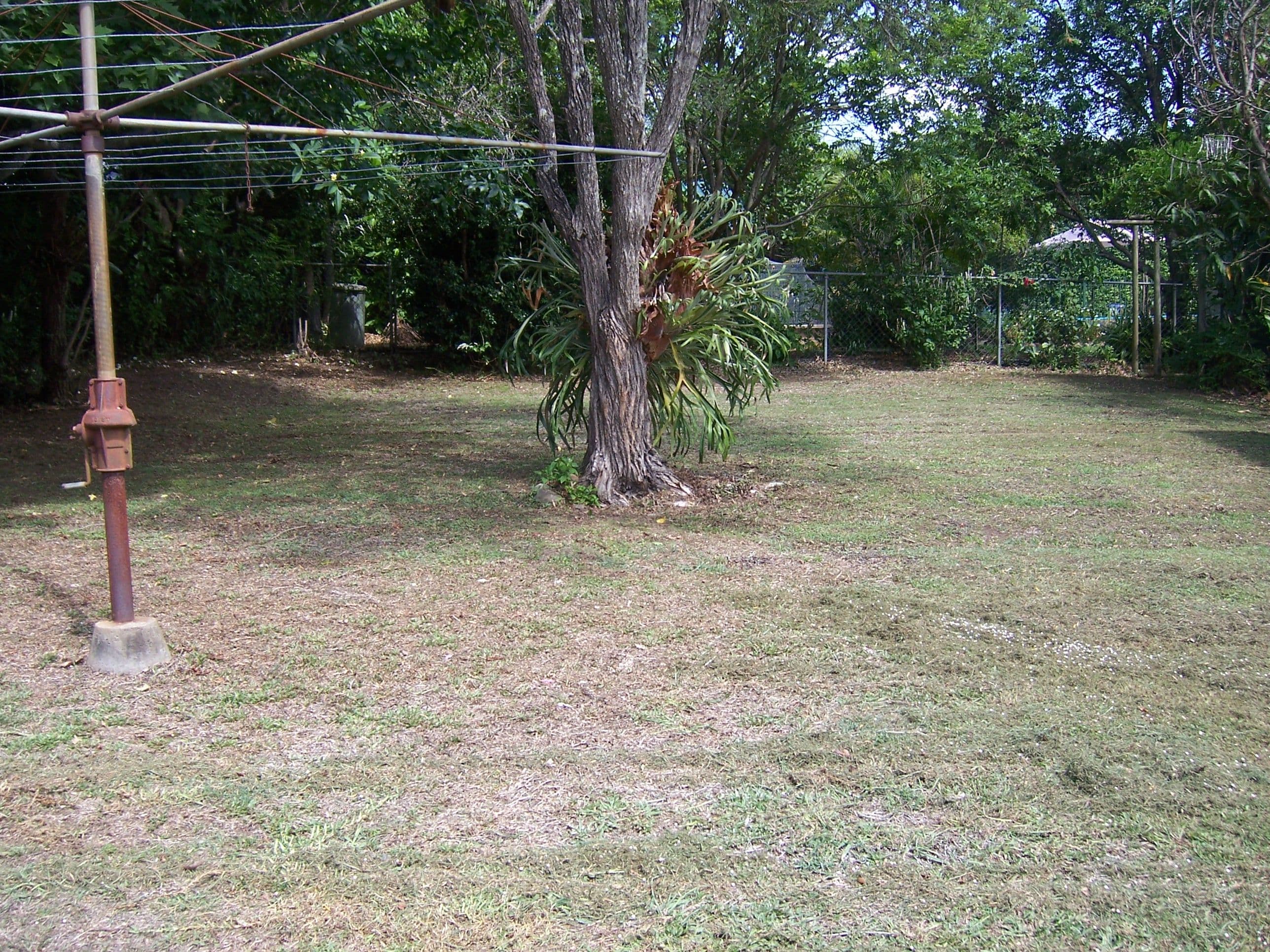 64 Horatio Street, Annerley QLD 4103, Annerley - Thumbnail 6