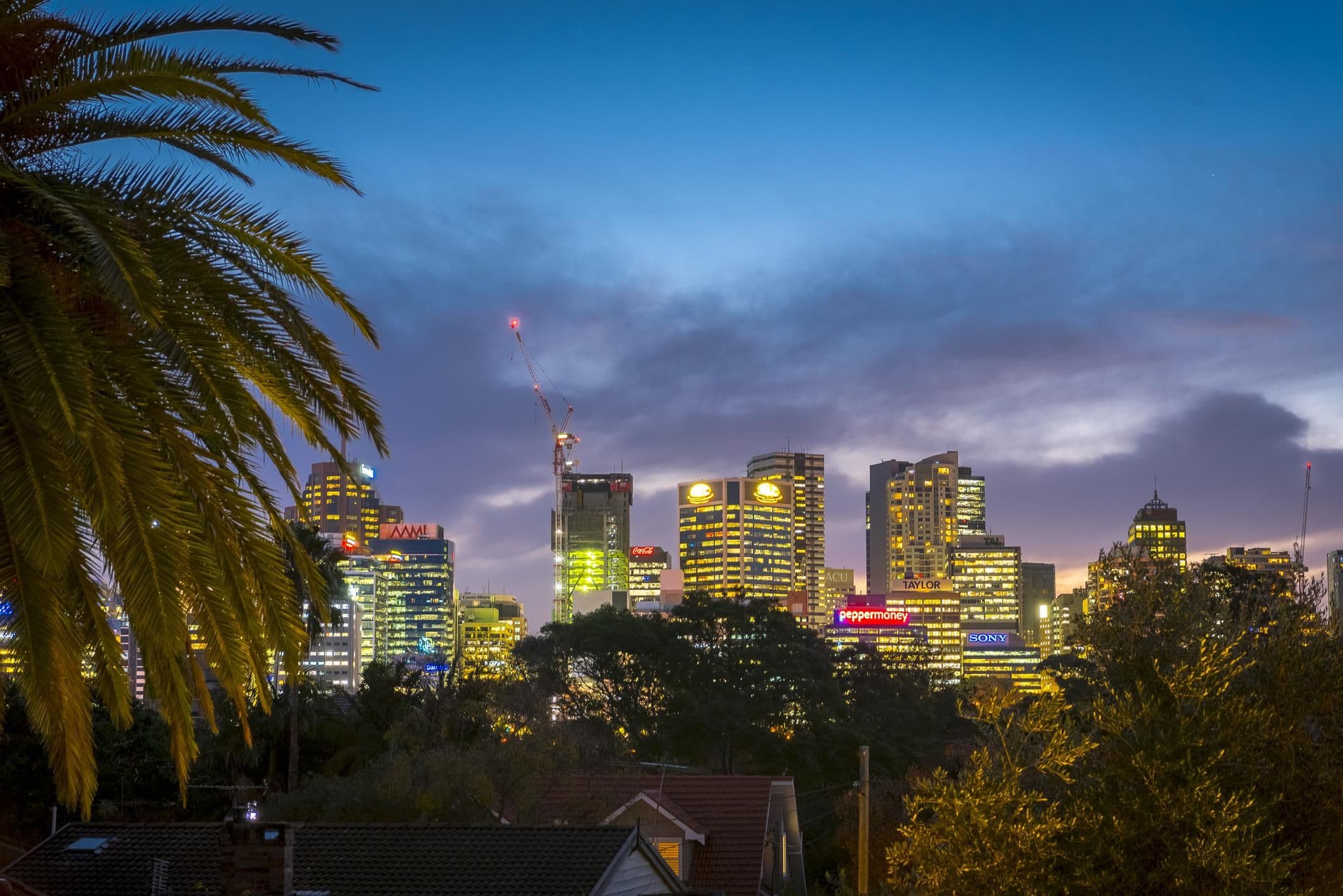 44 Wycombe Road, Neutral Bay - Thumbnail 3