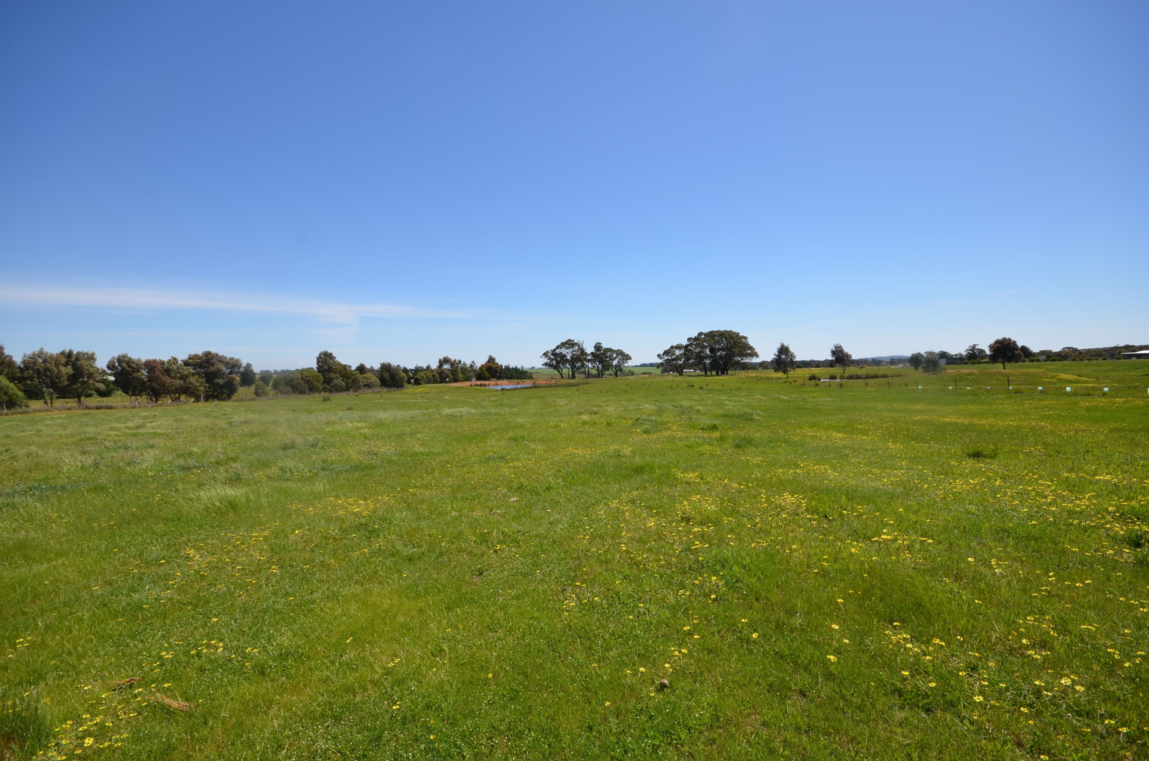 CA 1 Berringa Road, Berringa  Victoria  3351, Australia, Berringa - Thumbnail 7