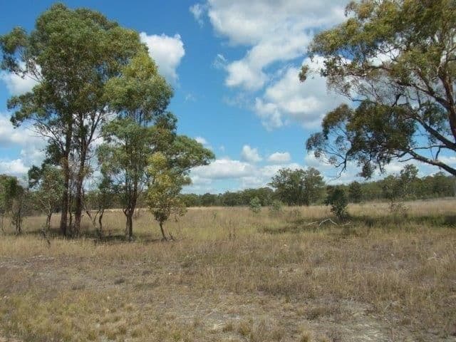 Lot 36 Leyburn Forestry Road, Thanes Creek QLD 4370, Thanes Creek - Thumbnail 5