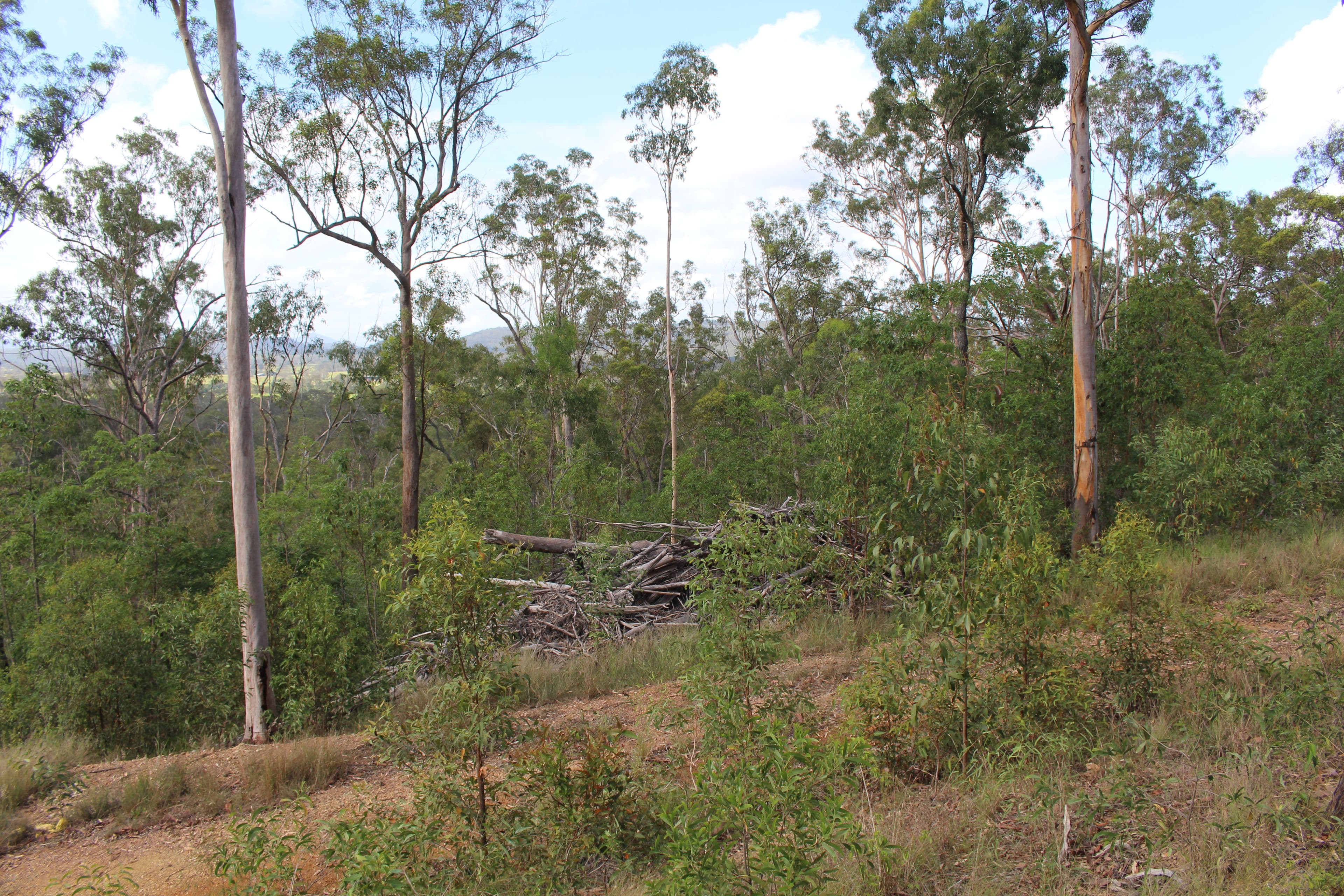 0 Dan Meurant Drive, Curra QLD 4570, Curra - Thumbnail 8