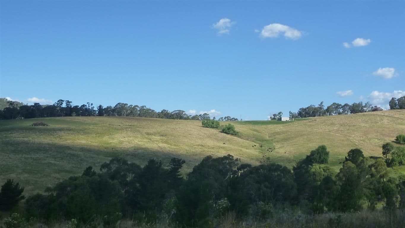 Lot 3 Old Tumbarumba Road, Tumut NSW 2720, Tumut - Thumbnail 2