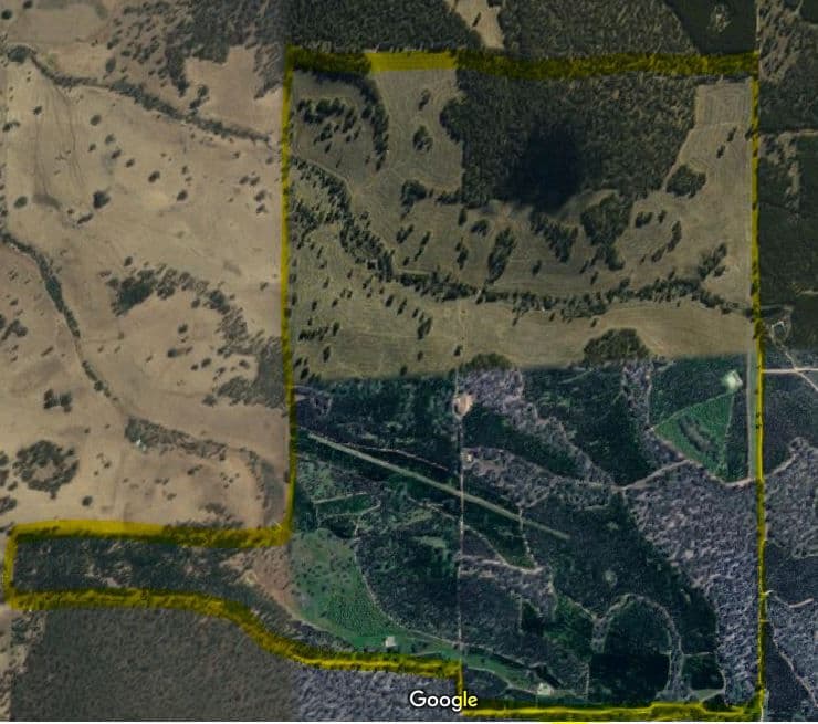 Boddington Tree Farm, 31 Marradong Road, BODDINGTON WA 6390, Boddington - Thumbnail 2