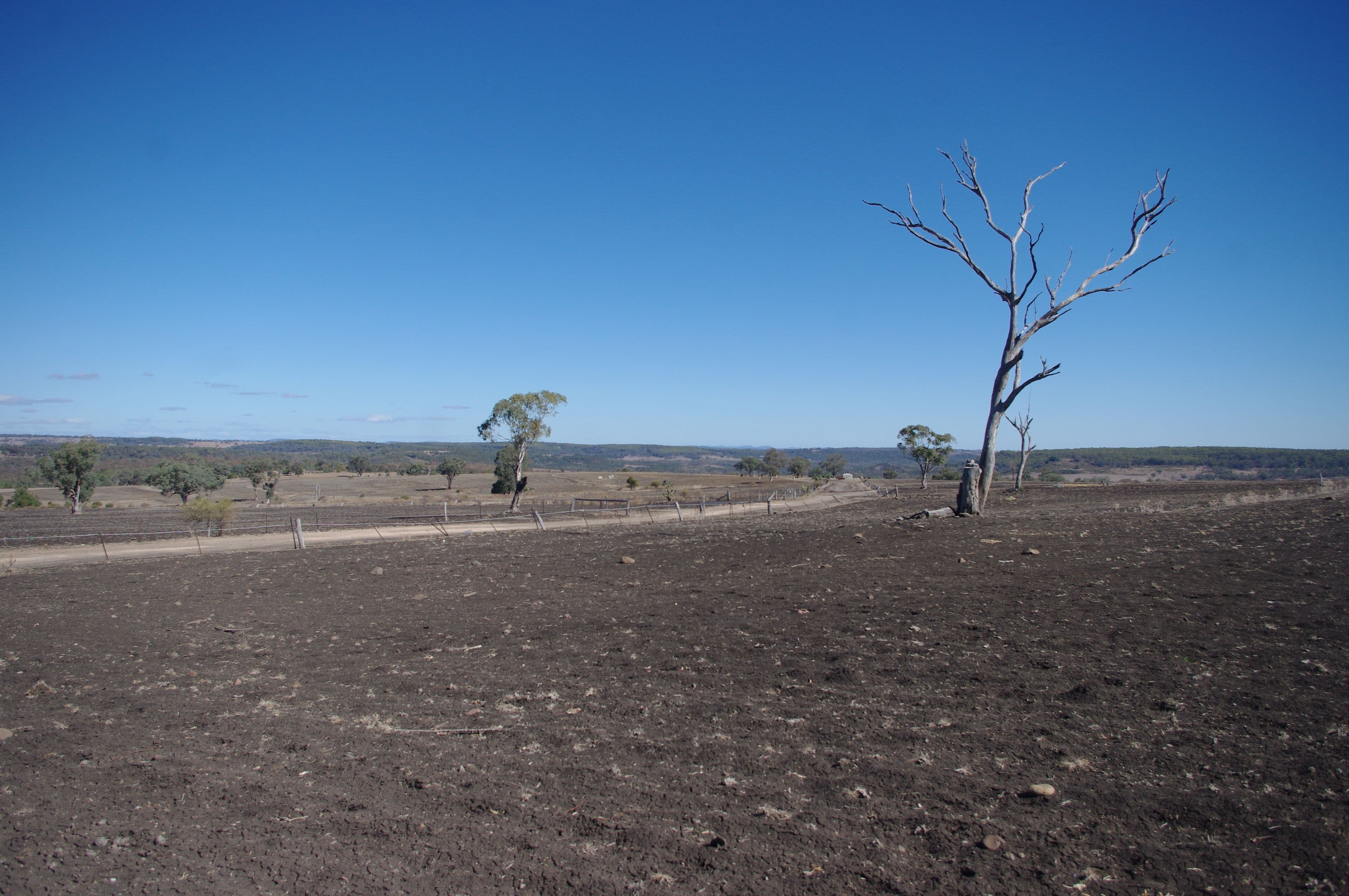 Inverell NSW 2360, Inverell - Thumbnail 6