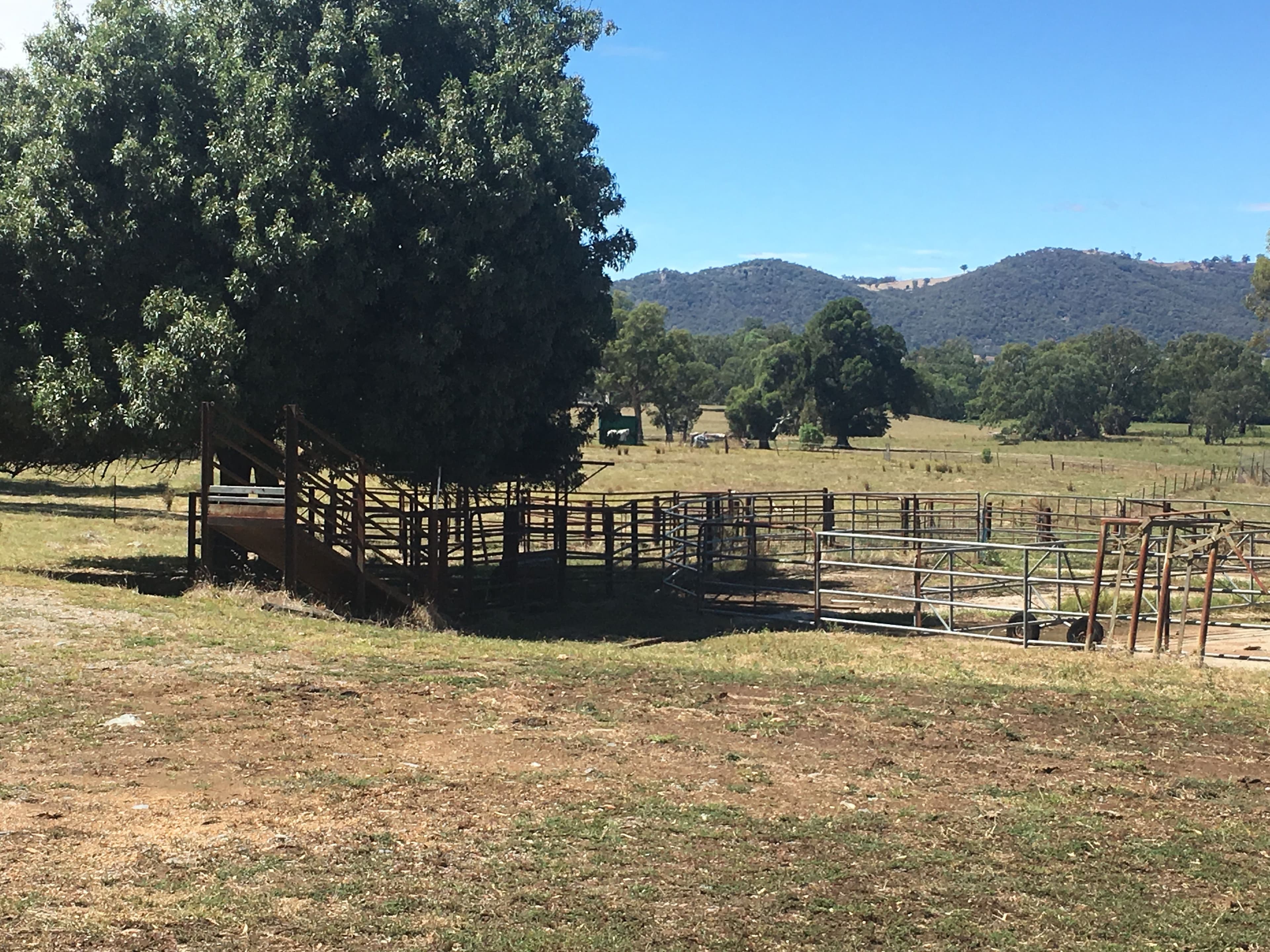 Wannawong 530 Lacmalac Road, Tumut NSW 2720, Tumut - Thumbnail 6