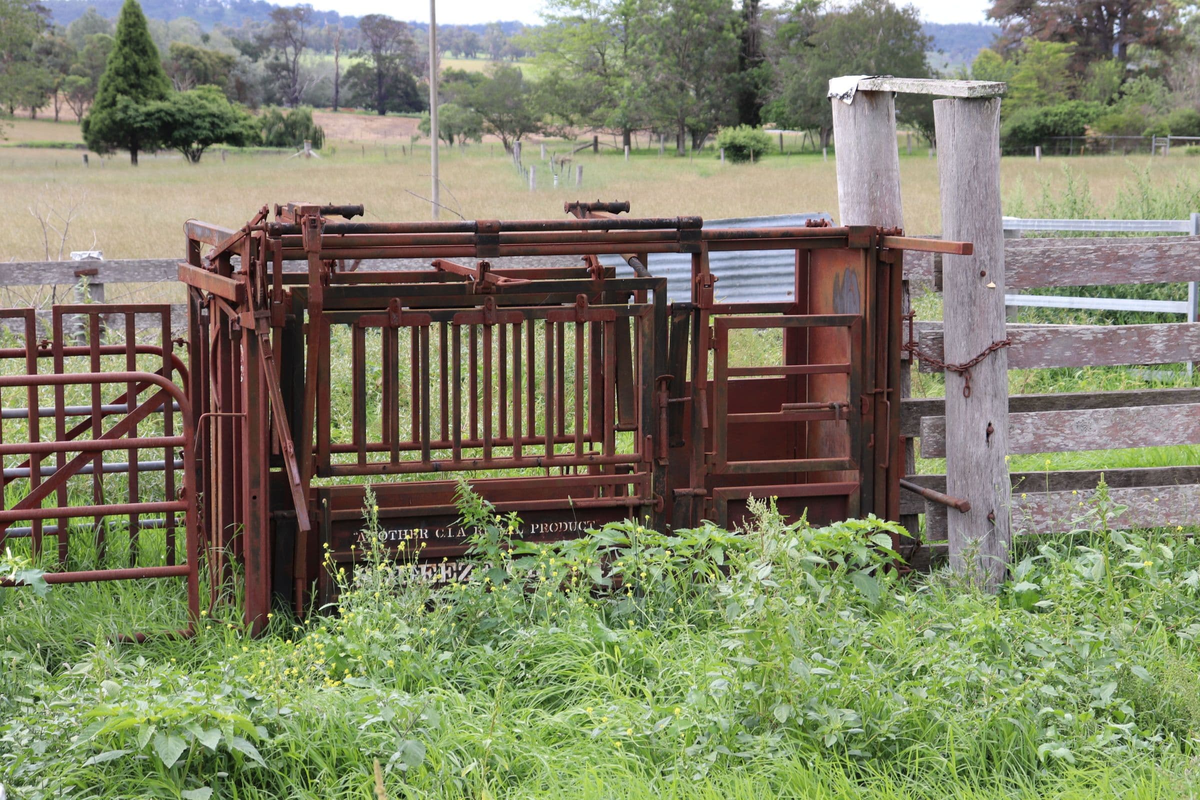 1279 Glen Legh Road, Glen Innes NSW 2370, Glen Innes - Thumbnail 5