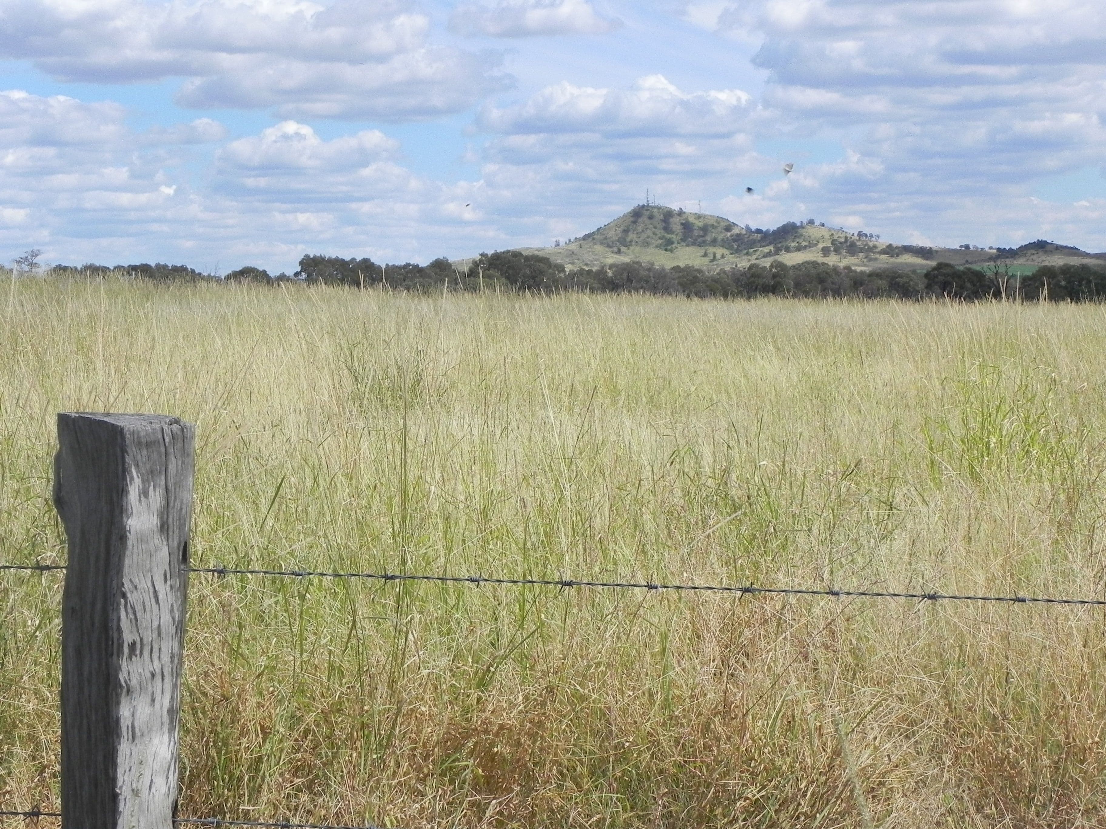 1075 Kooroongarra Road, Lavelle, Millmerran QLD 4357, Millmerran - Thumbnail 3