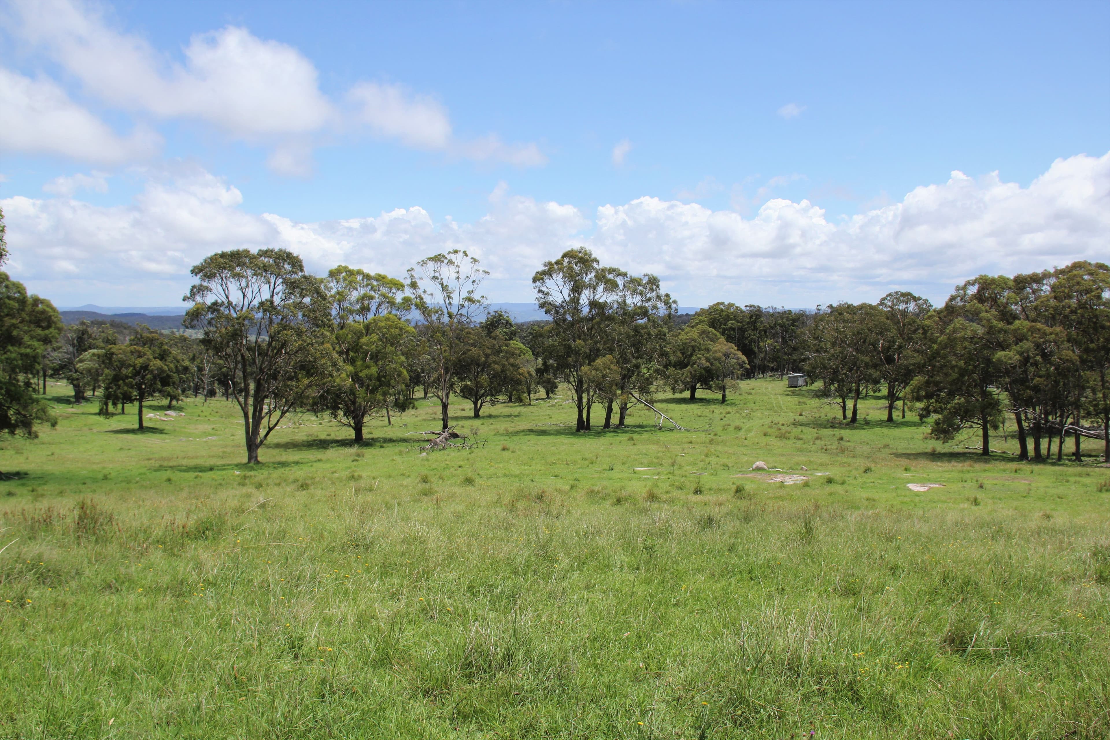 170 Bungulla Road, Tenterfield NSW 2372, Tenterfield - Thumbnail 6