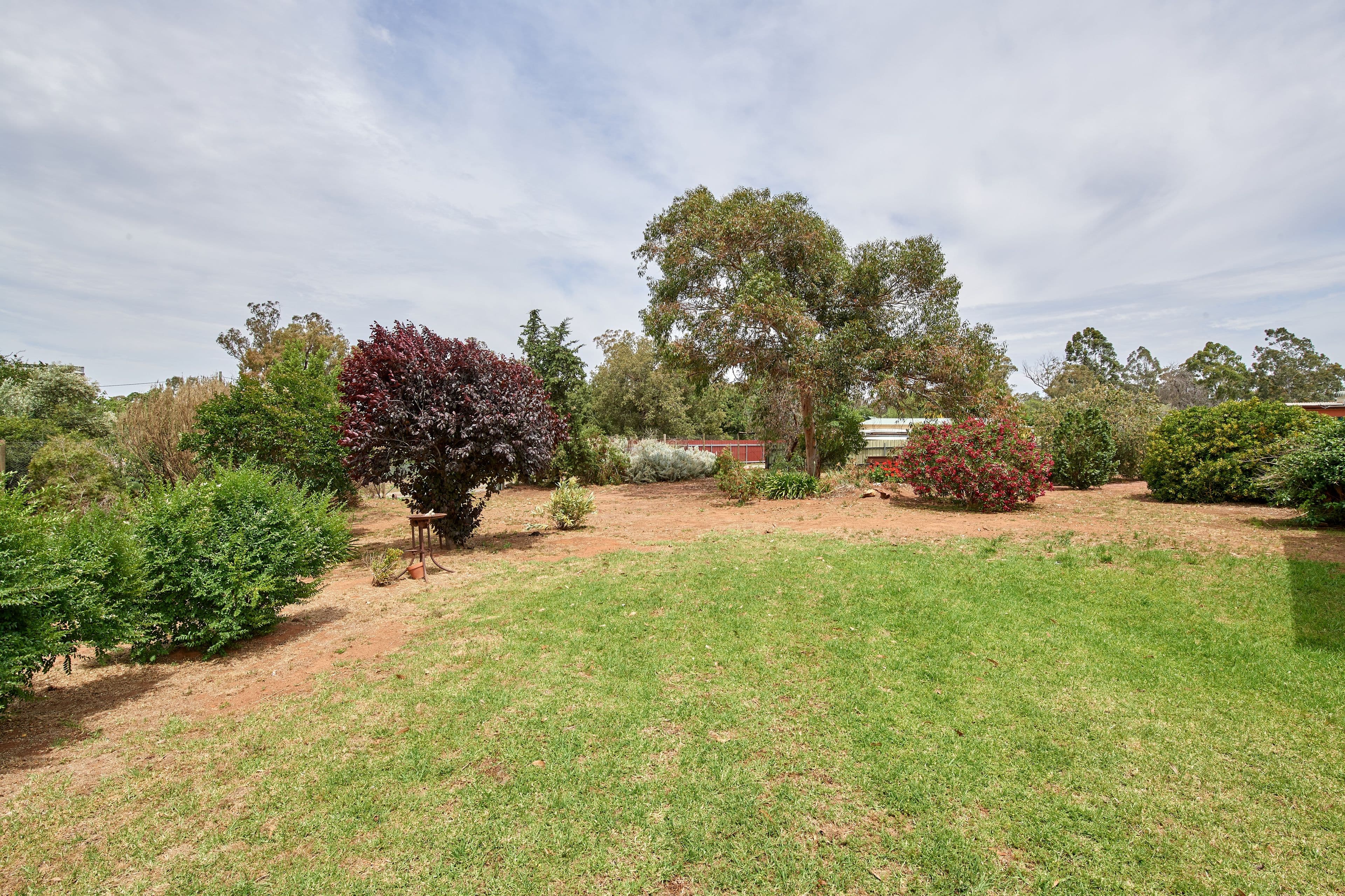 25 Cave Street, Ganmain NSW 2702, Ganmain - Thumbnail 7