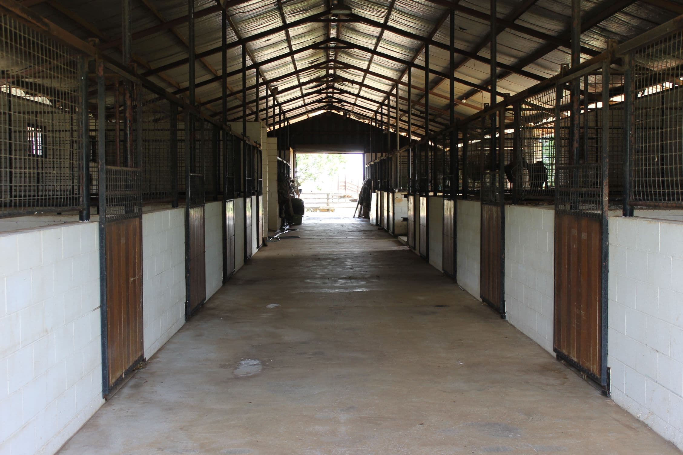1251 Bunya Highway, Dalby QLD 4405, Dalby - Thumbnail 6