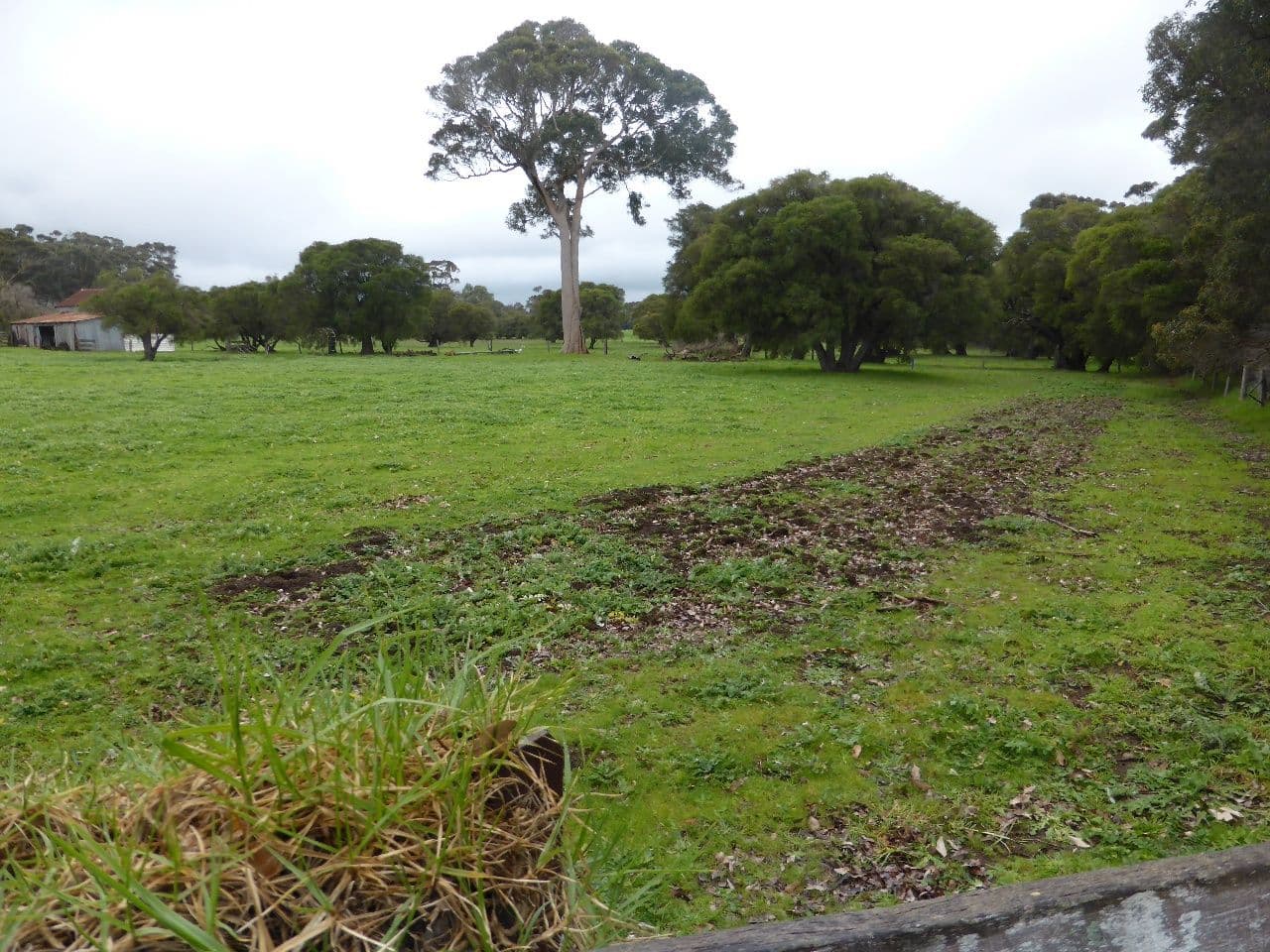 PL 401 Bushby Road, Karridale WA 6288, Karridale - Thumbnail 8