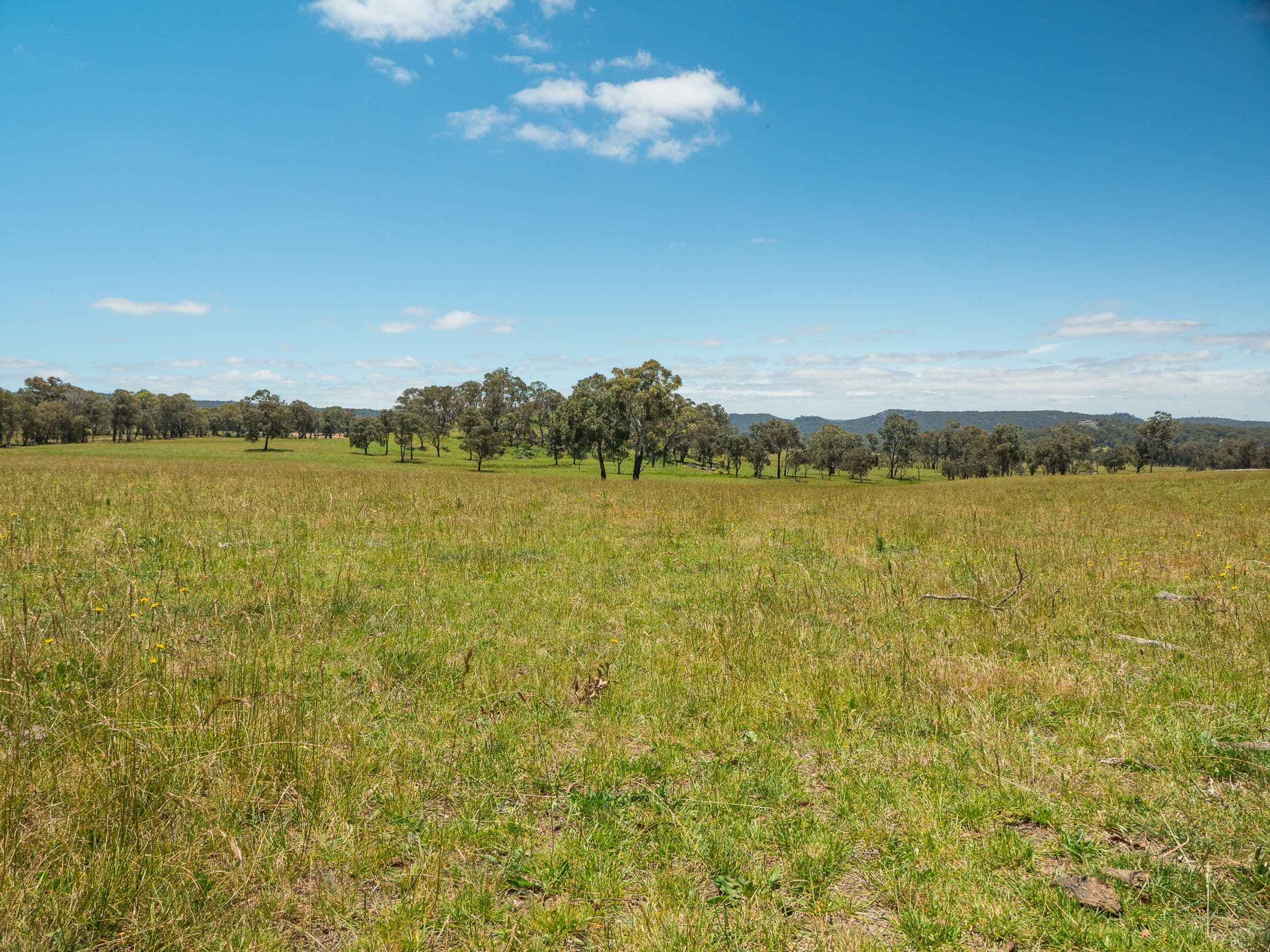 286 Mount Mitchell Road, Guyra NSW 2365, Guyra - Thumbnail 4
