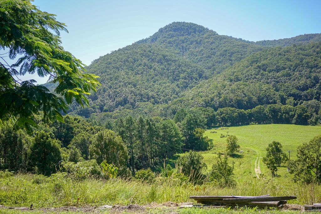 884 Kyogle Road, Mount Warning NSW 2484, Mount Warning - Thumbnail 3