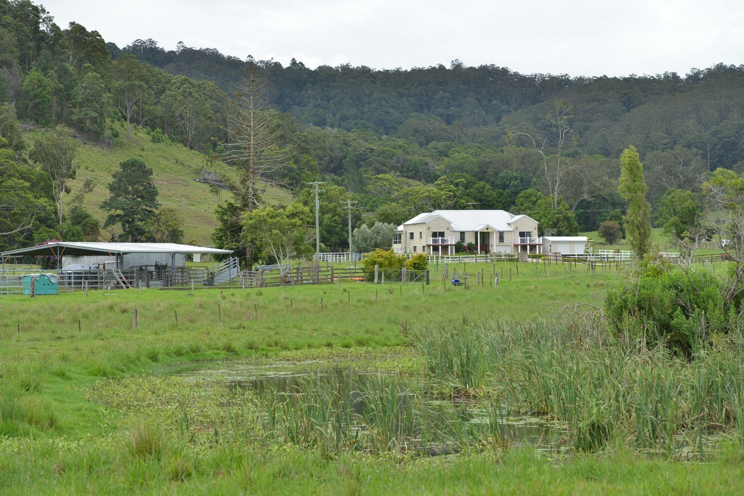 1179 Kilcoy Beerwah Road, Cedarton QLD 4514, Cedarton - Thumbnail 5