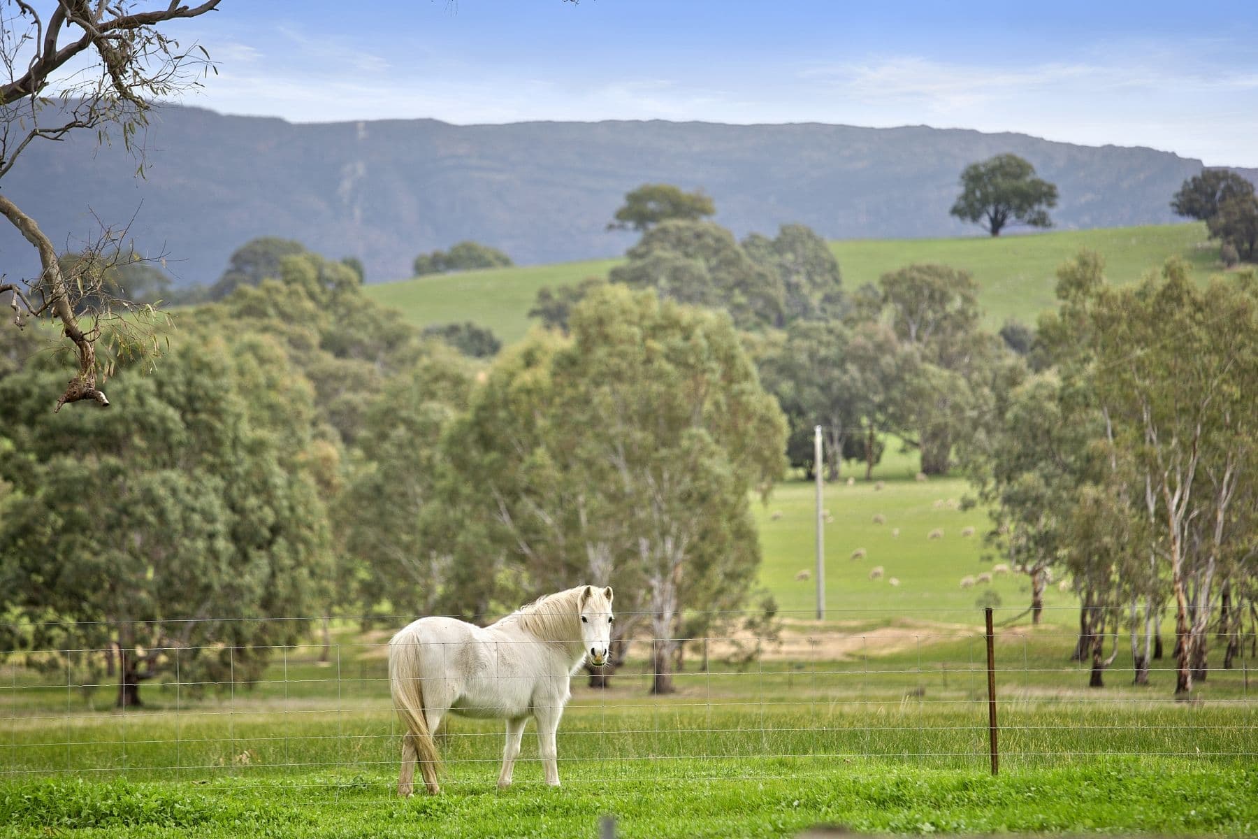 1094 Sandbar Road, Lake Lonsdale VIC 3381, Lake Lonsdale - Thumbnail 6