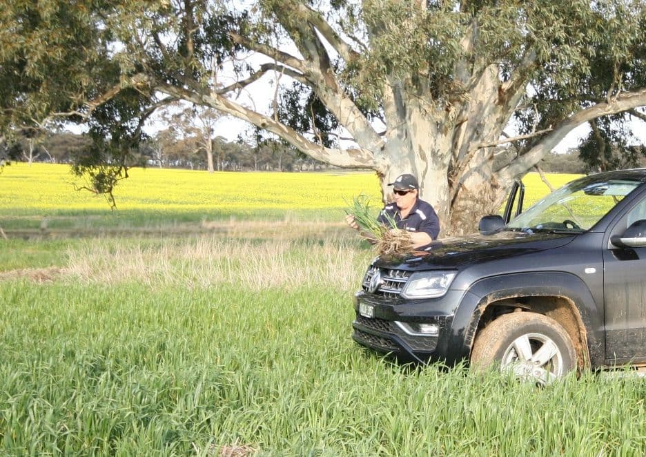 00 Dunolly Road, St Arnaud VIC 3478, St Arnaud - Thumbnail 7