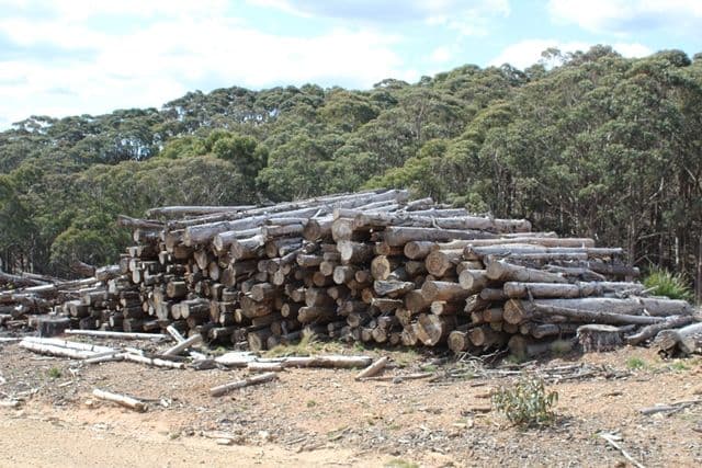 371 Horseshoe Bend Road, Edith NSW 2787, Edith - Thumbnail 4