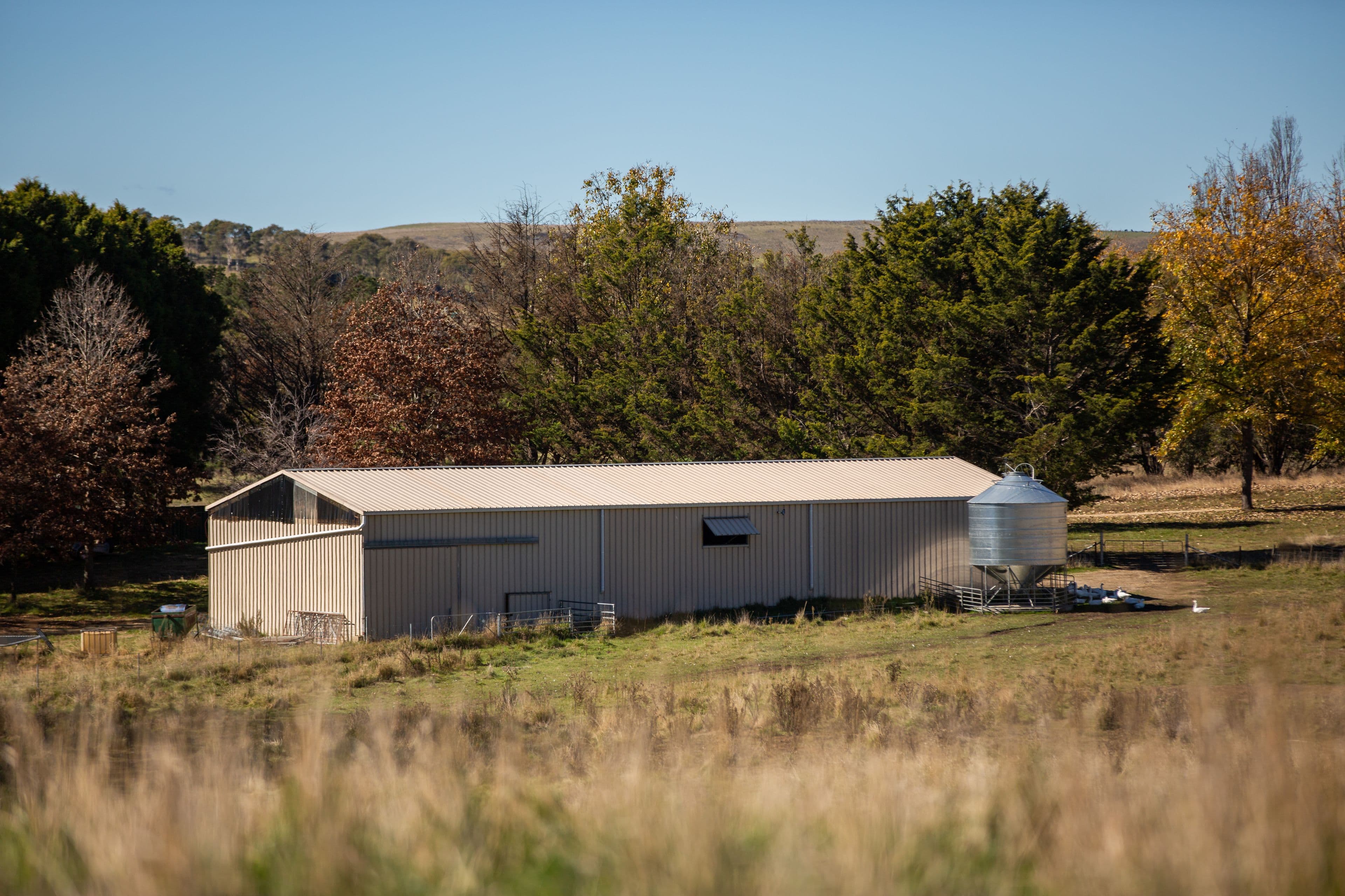 207 Urandangie Road, Guyra NSW 2365, Guyra - Thumbnail 4