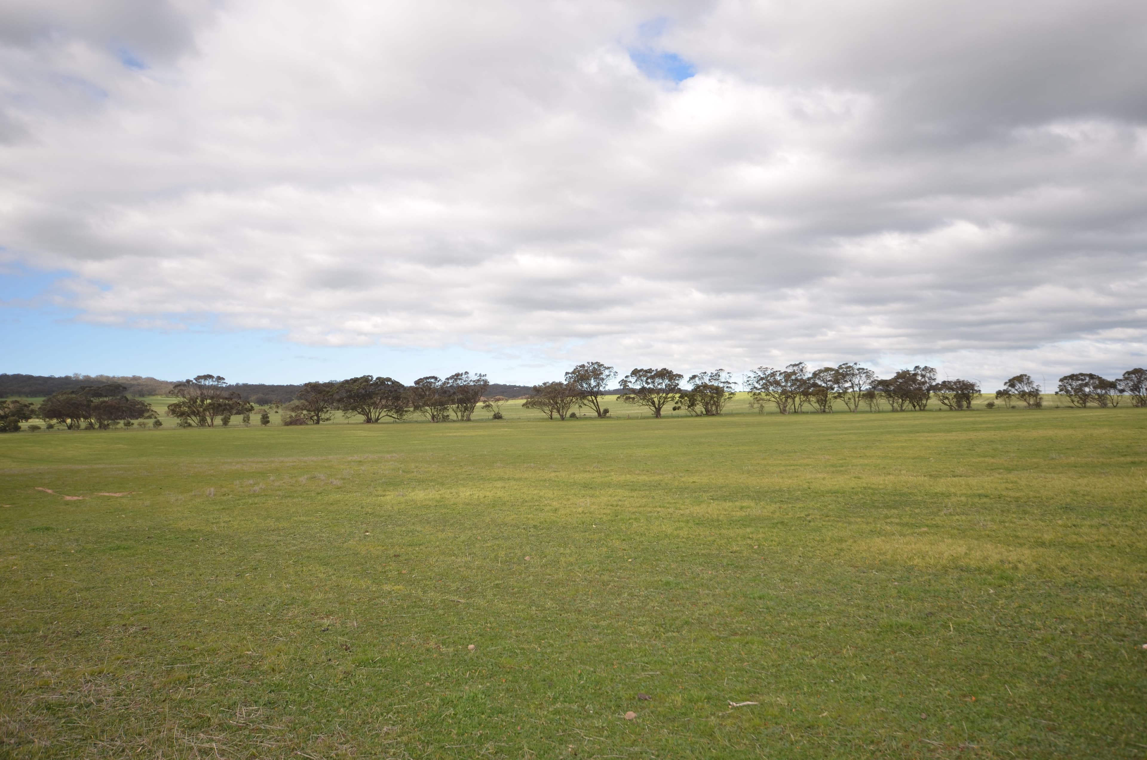 Felwake Main Road, Waterloo SA 5413, Waterloo - Thumbnail 7