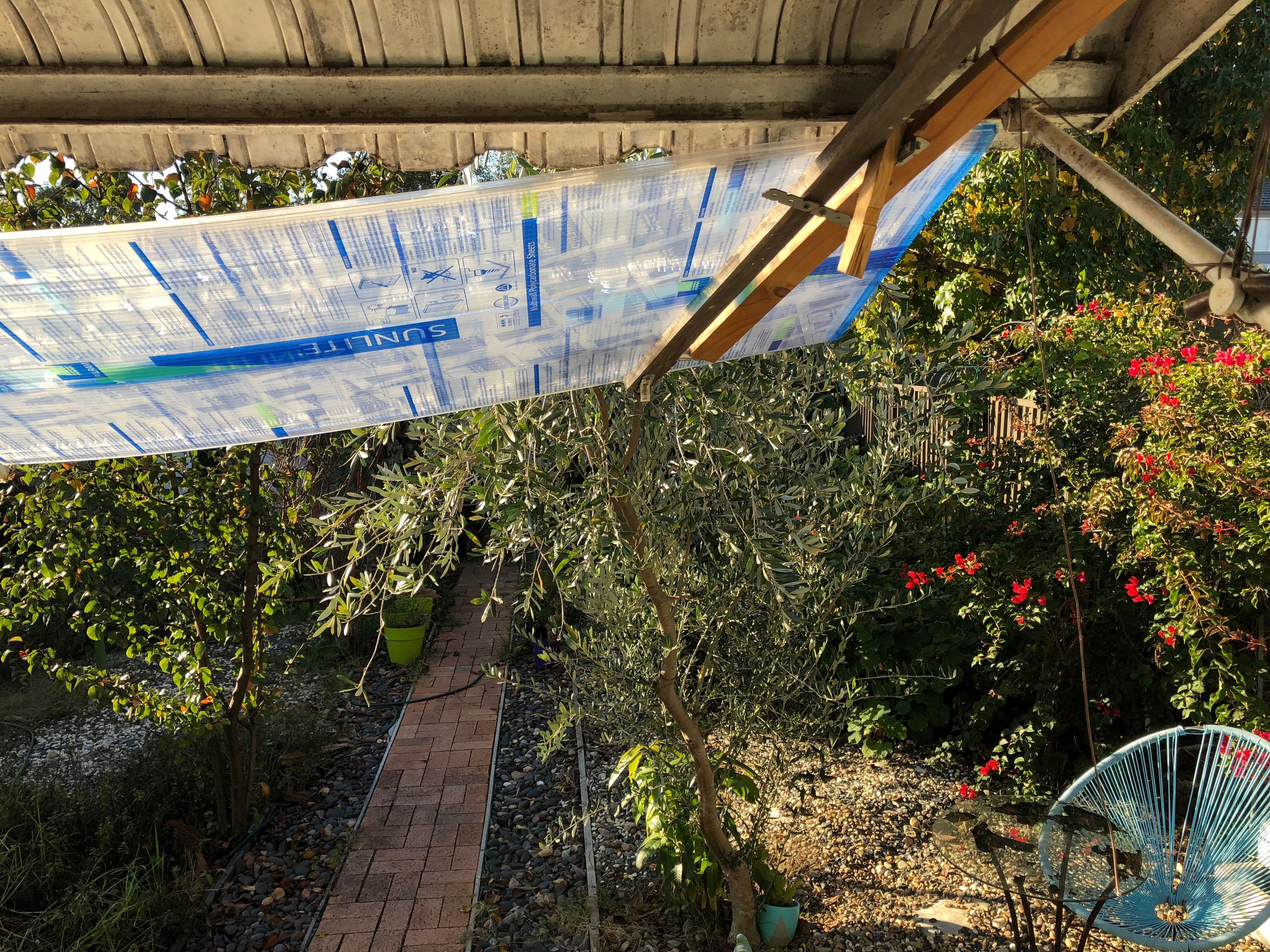 75A Chiswick Road, Auburn NSW 2144, Auburn - Thumbnail 7