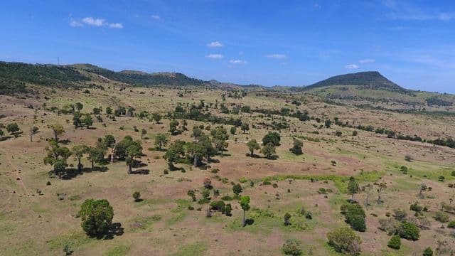 2716 Valentine Plains Road, Valentine Plains QLD 4715, Valentine Plains - Thumbnail 5