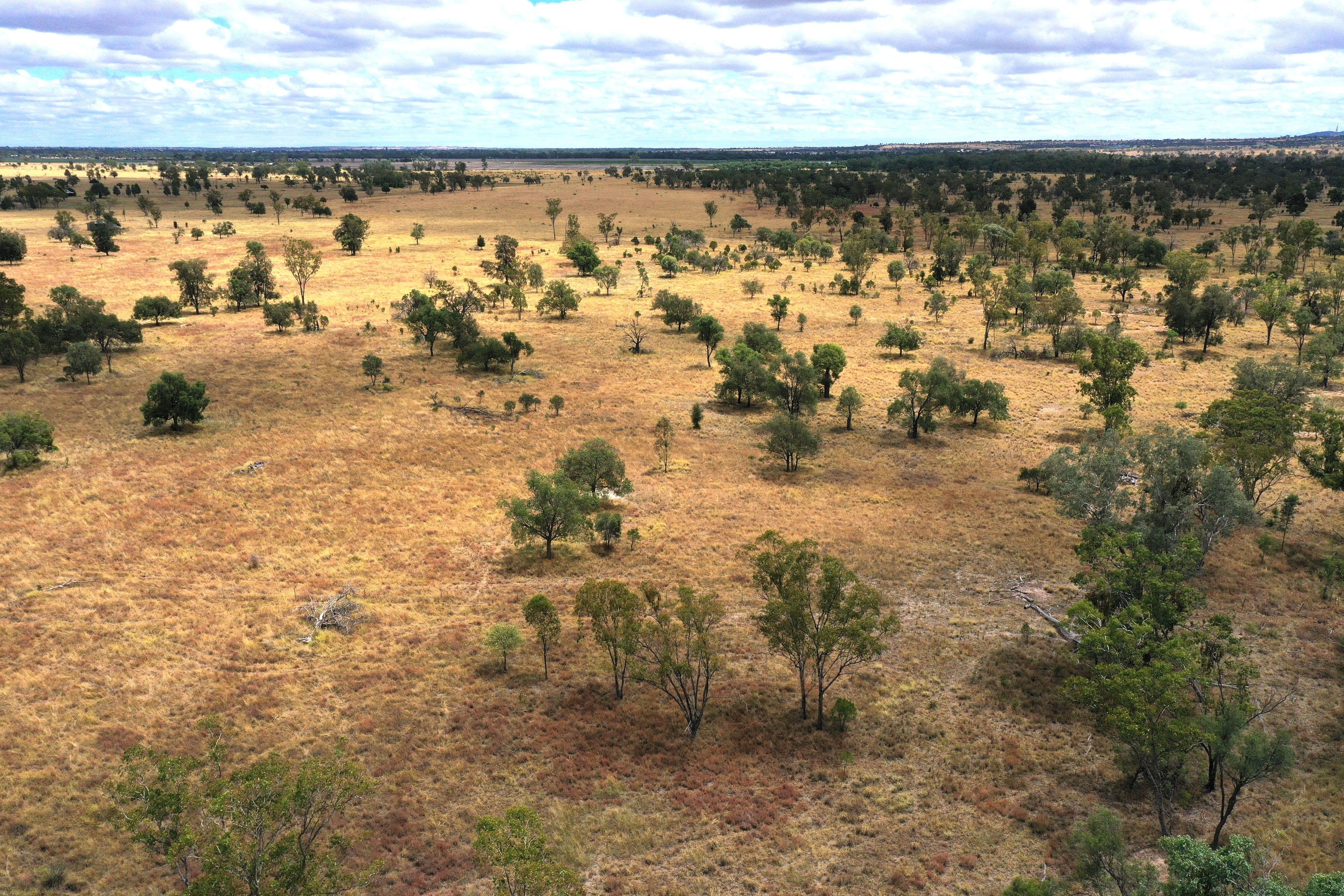 445 Six Mile Road, Roma QLD 4455, Roma - Thumbnail 2