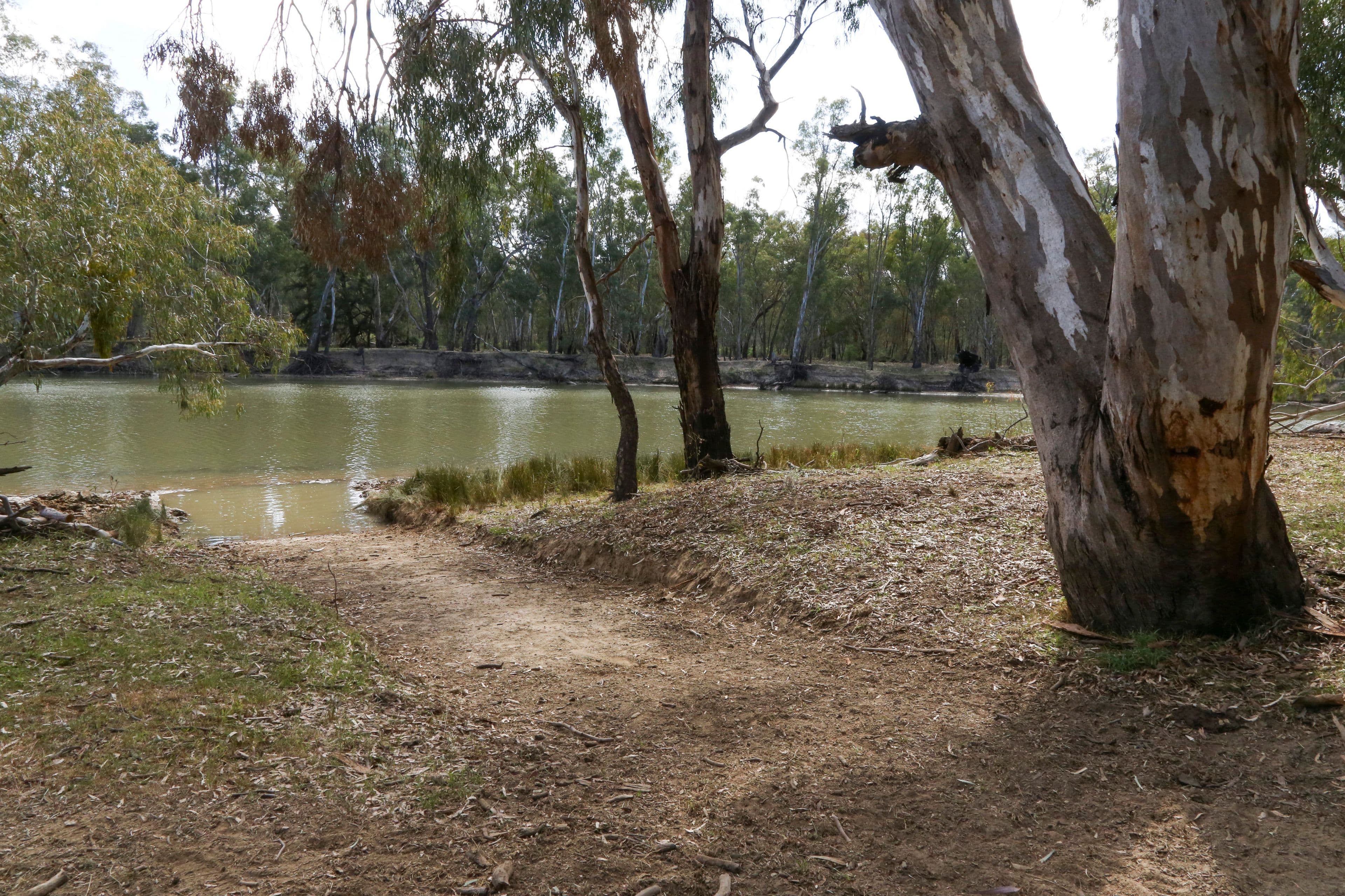 Euroley NSW 2700, Euroley - Thumbnail 4