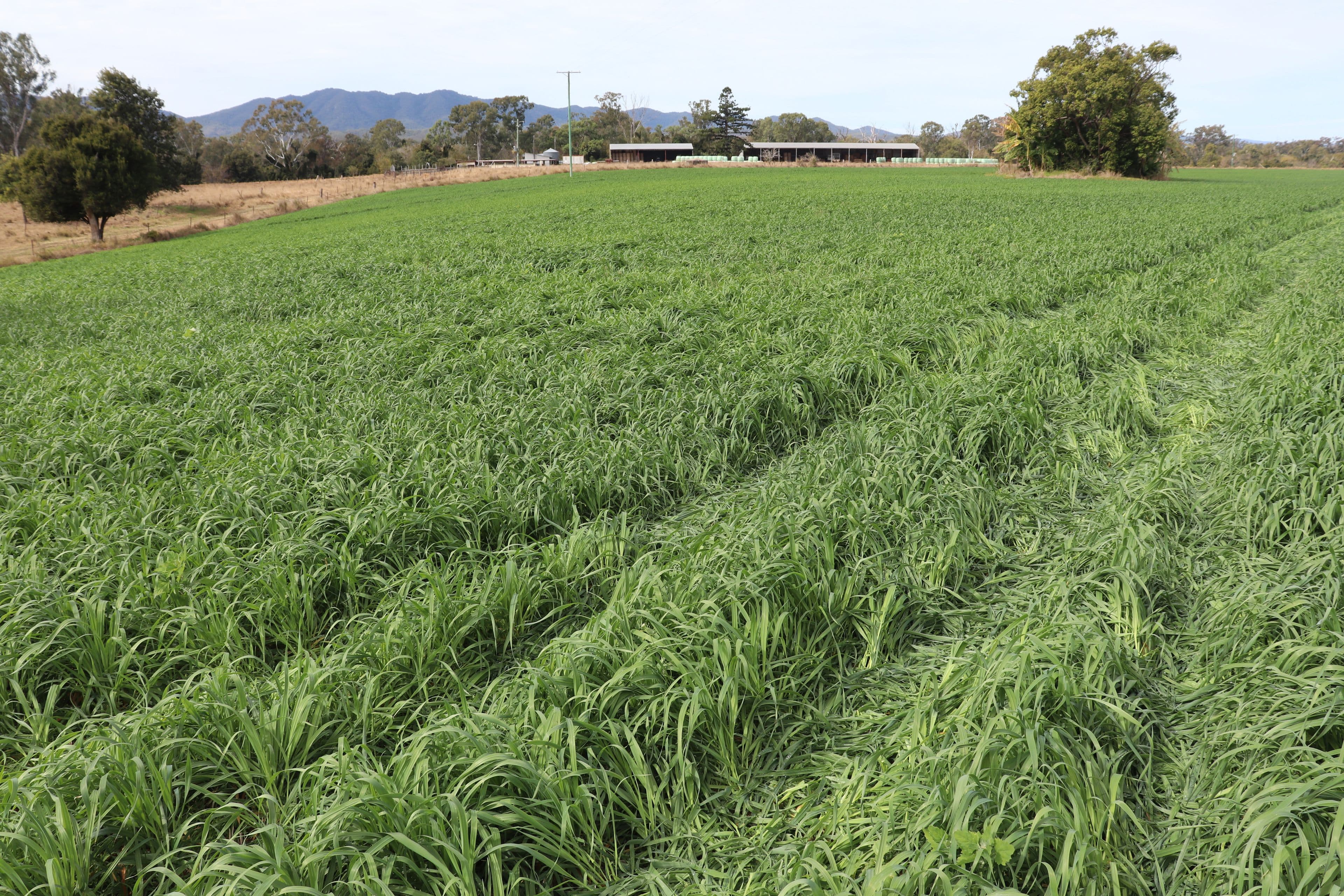 4615 Gladstone Monto Road, Boyne Valley QLD 4680, Boyne Valley - Thumbnail 7