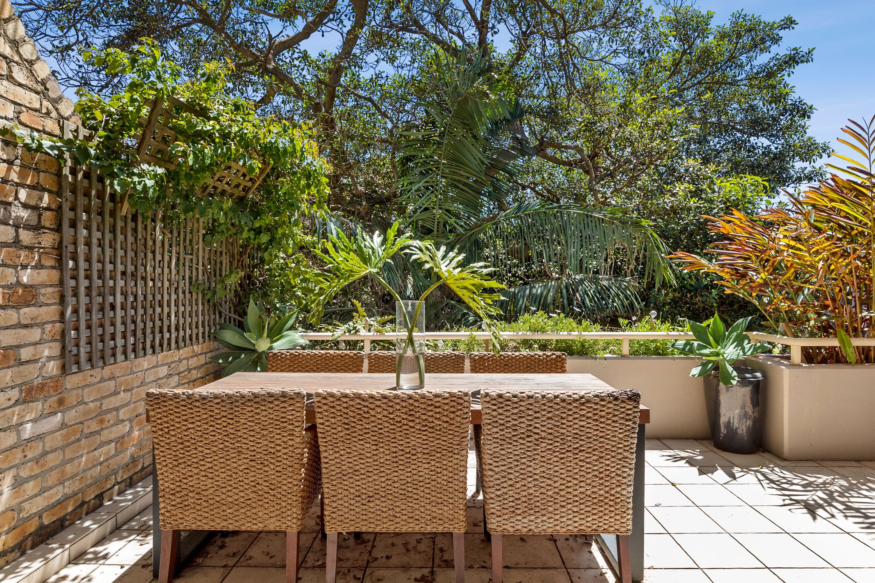 16 Mactier Street, Narrabeen NSW 2101, Narrabeen - Thumbnail 5