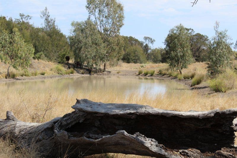 " Part Kyona", Moree NSW 2400, Moree - Thumbnail 8