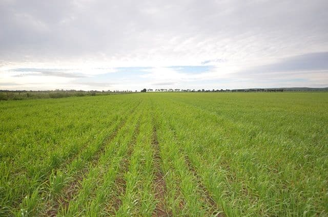 "Ashmore Farm" - Ashmore Smith Road, Mintaro SA 5415, Mintaro - Thumbnail 2