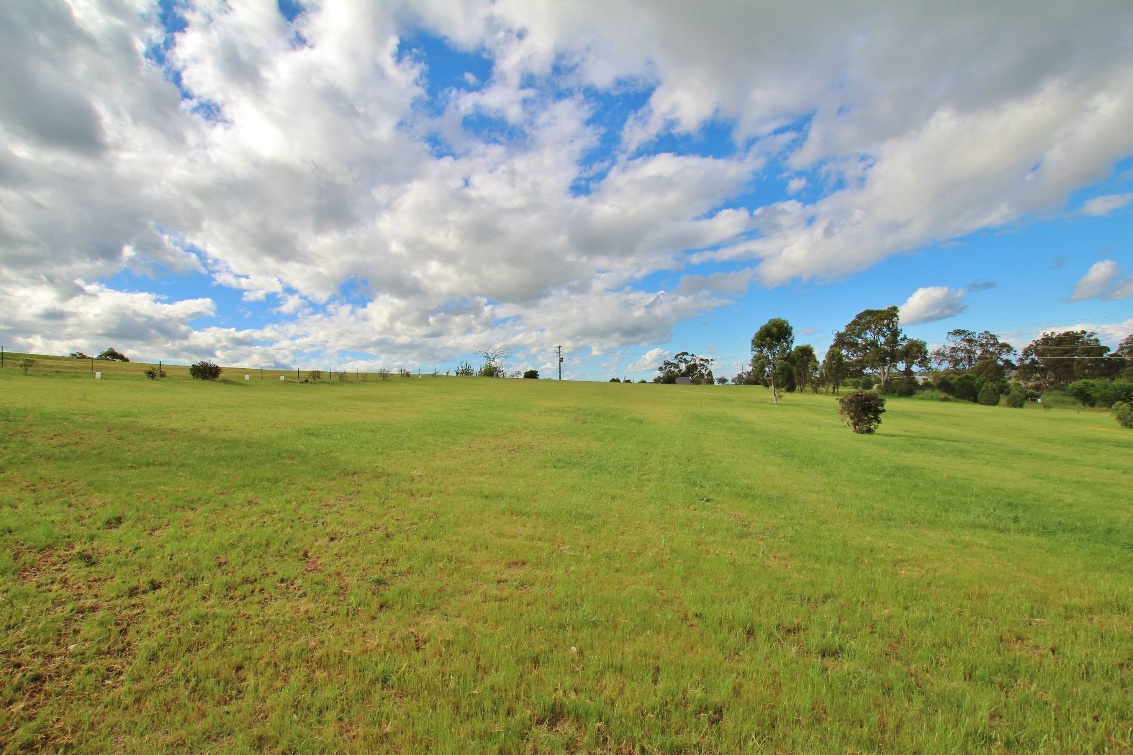 32 Rules Road, Young NSW 2594, Young - Thumbnail 2