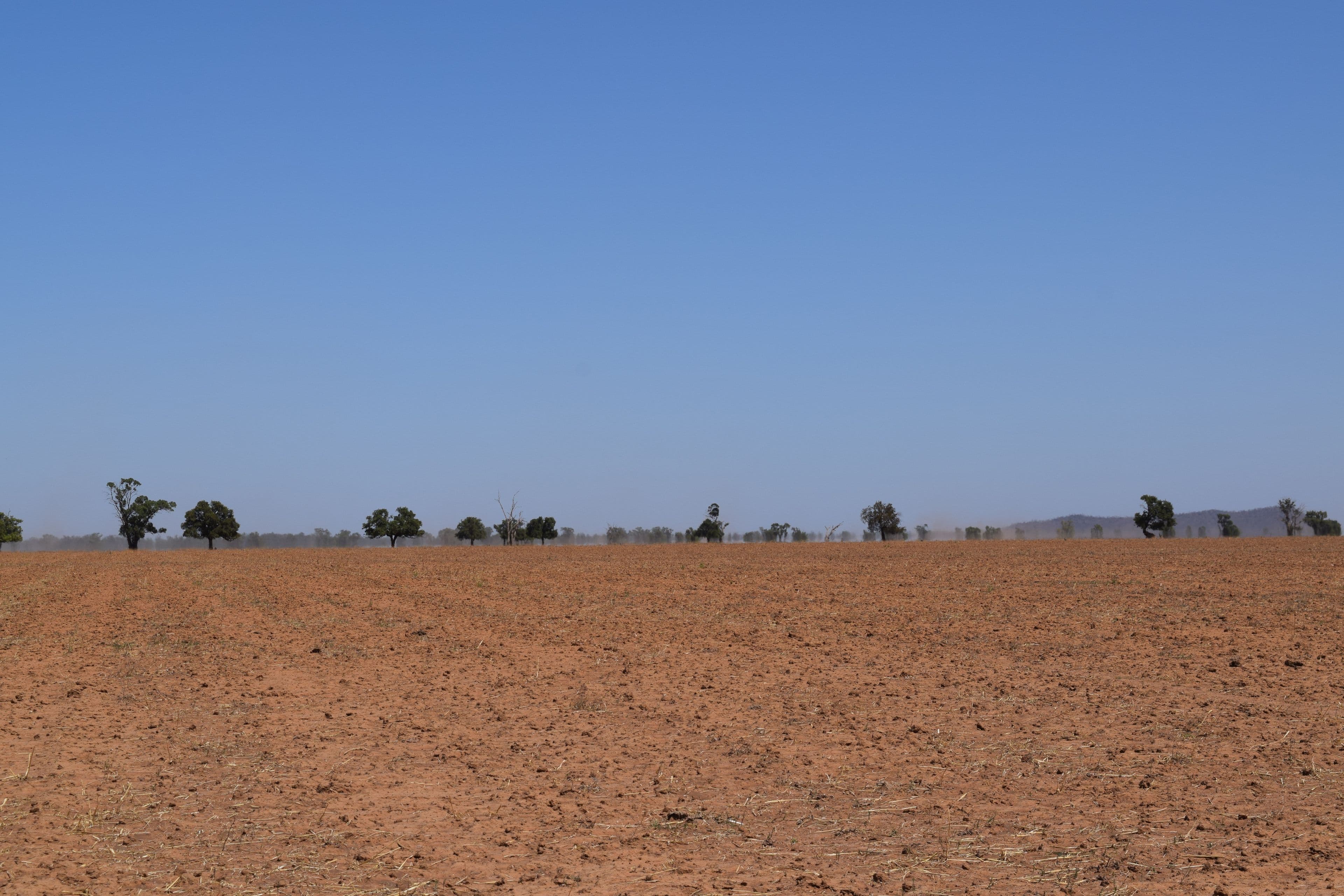 Part Gloming Bedgerebong Road, Forbes NSW 2871, Forbes - Thumbnail 8