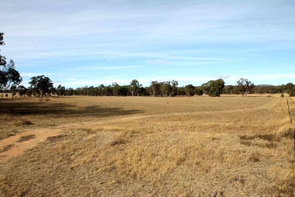 166 Werribee Road, Premer NSW 2381, Premer - Image 1