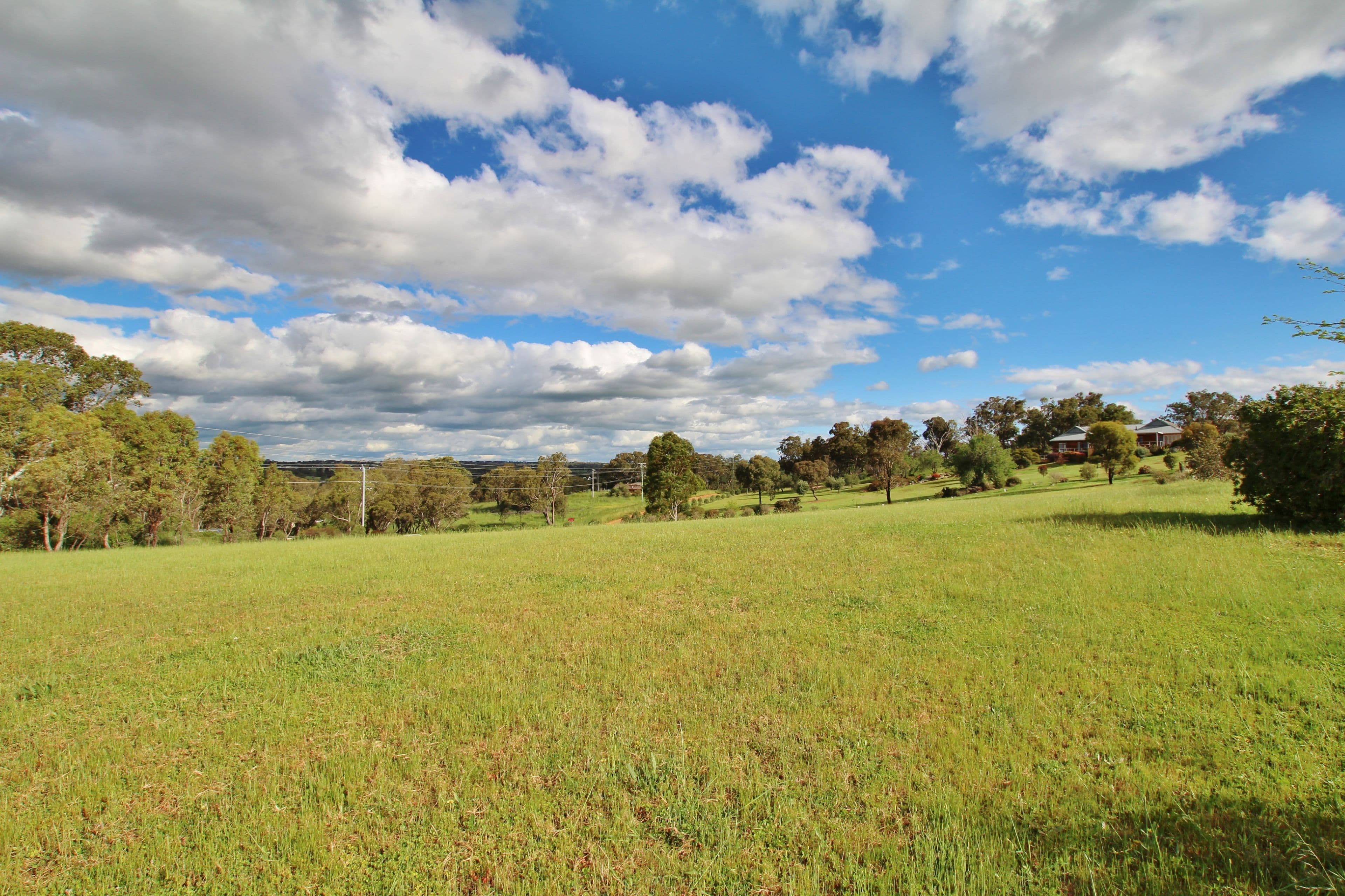 32 Rules Road, Young NSW 2594, Young - Image 1