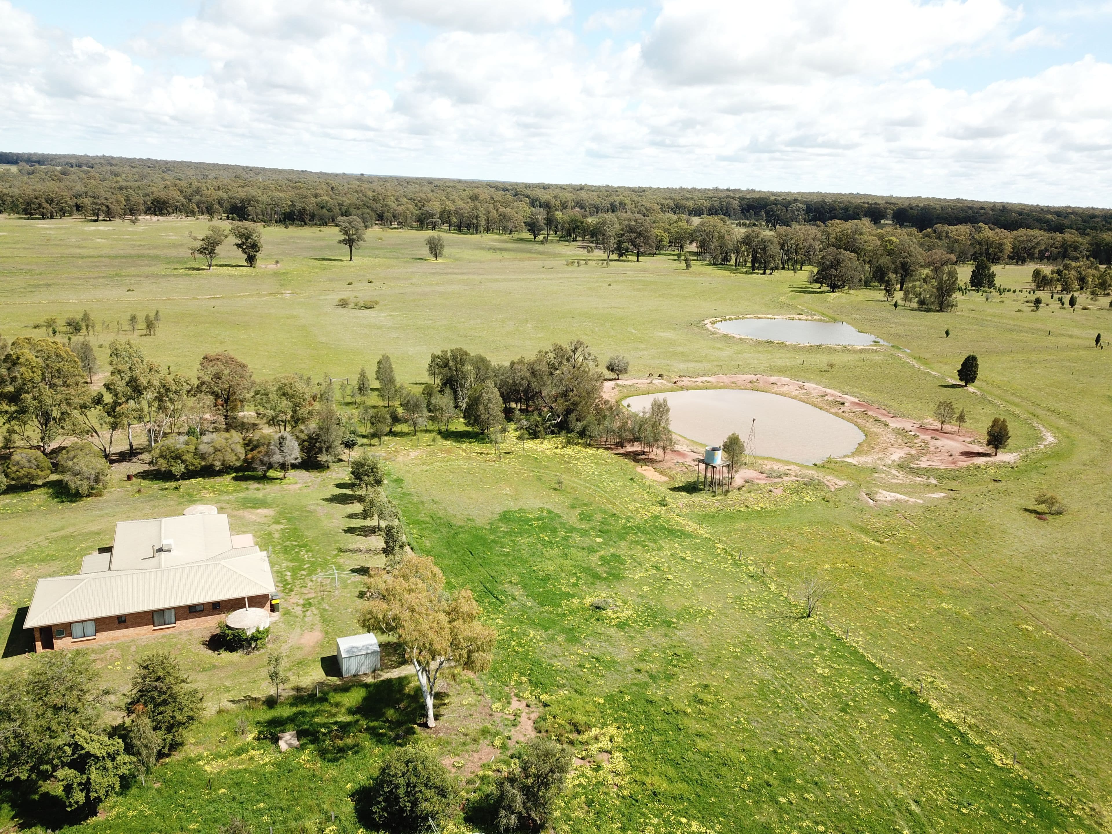 'Mirfield' 119L Mendooran Road, Dubbo NSW 2830, Dubbo - Image 1