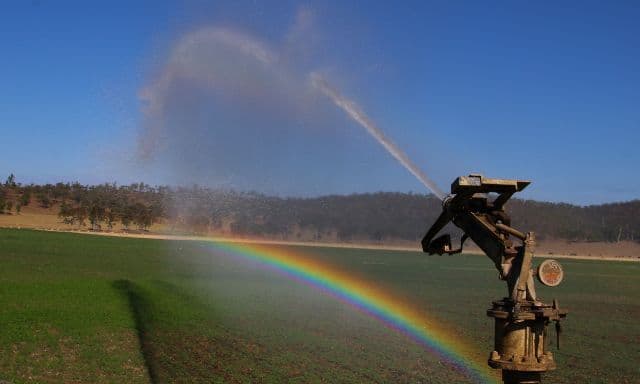 Monto QLD 4630, Monto - Thumbnail 2