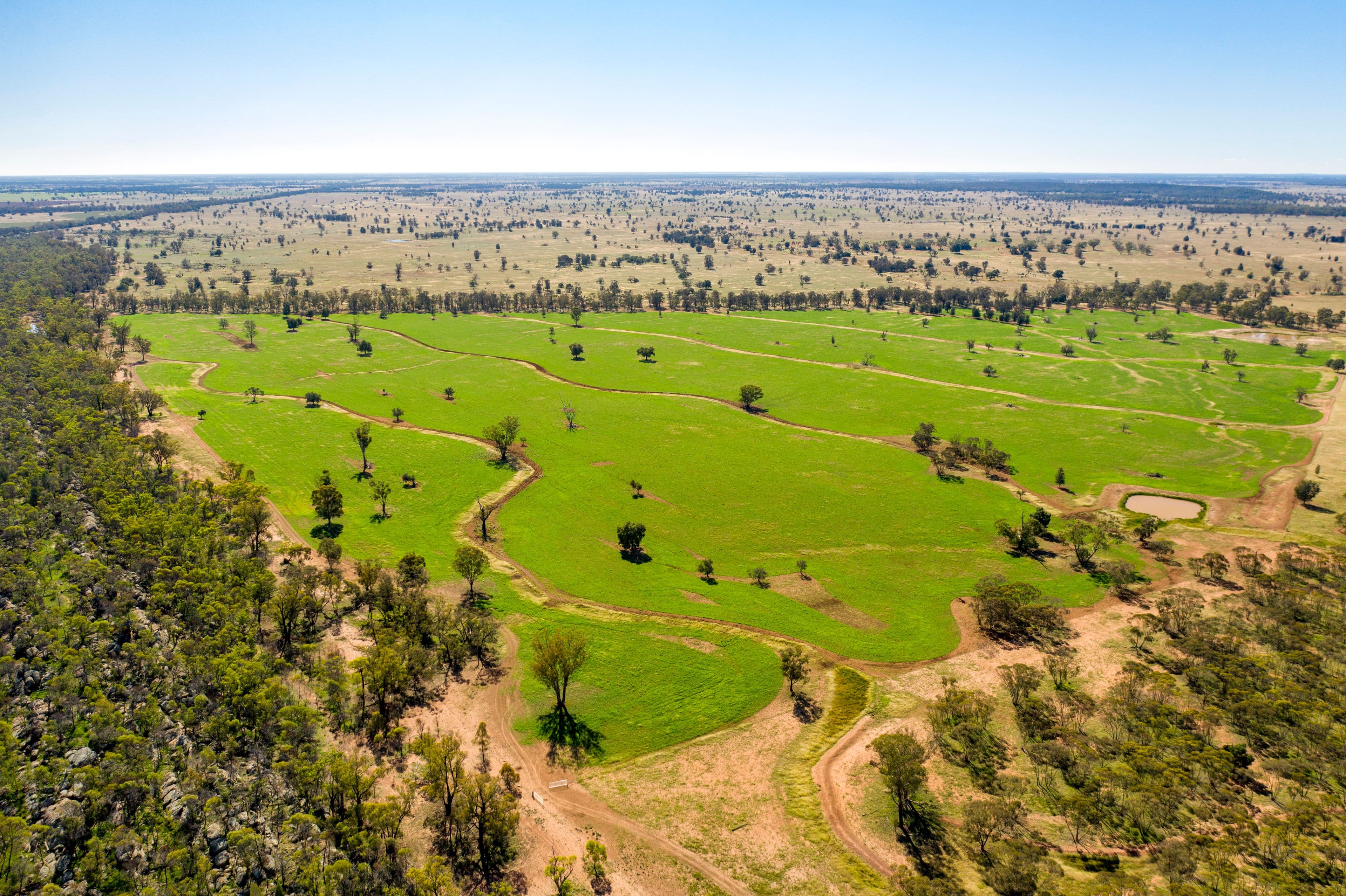 3502 Numalla Road, Peak Hill NSW 2869, Peak Hill - Thumbnail 5