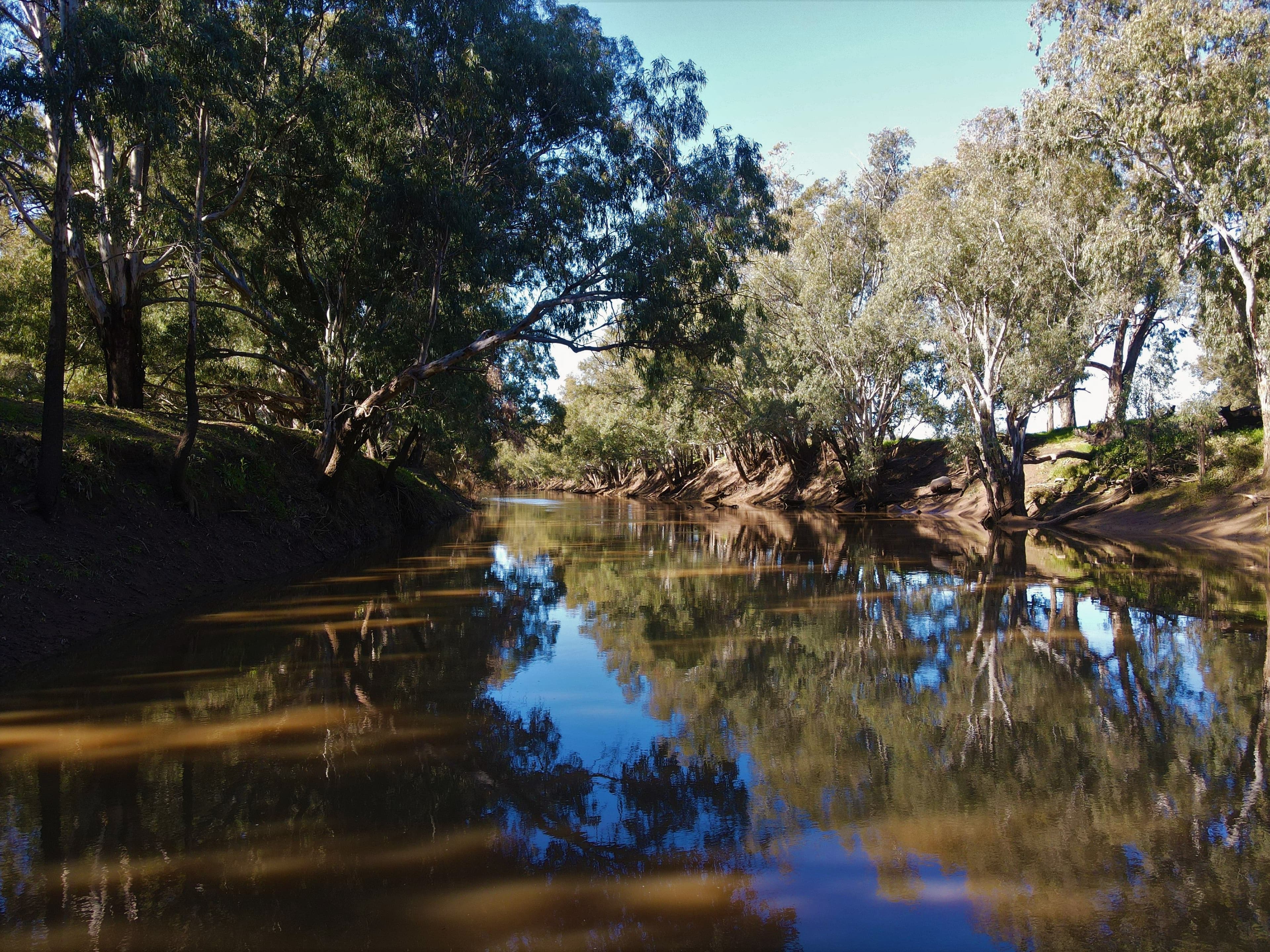 Ulmarra, 10419 The Escort Way, Forbes NSW 2871, Forbes - Thumbnail 5