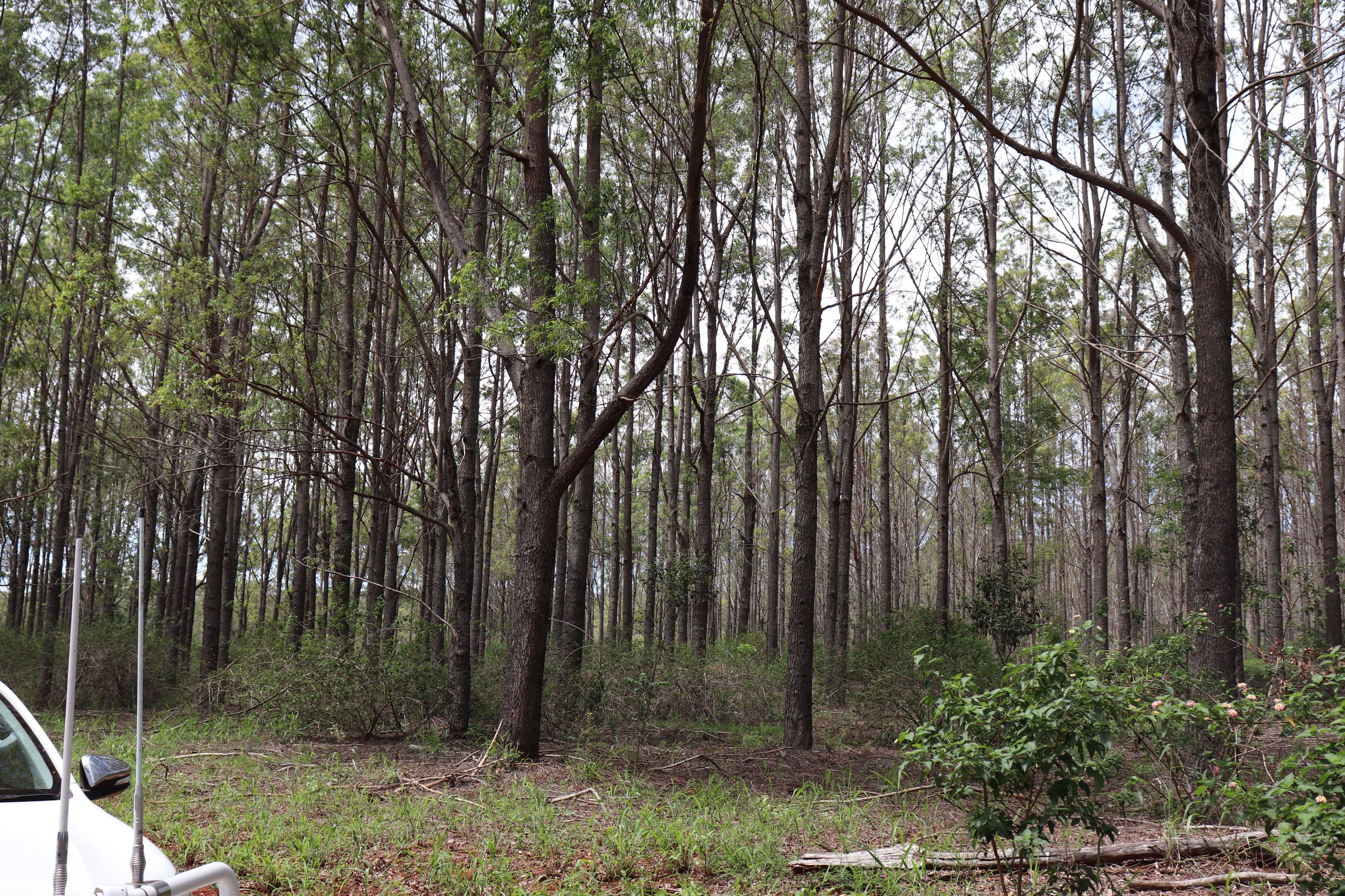 'Hooper' Burnett Highway, Binjour QLD 4625, Binjour - Thumbnail 4