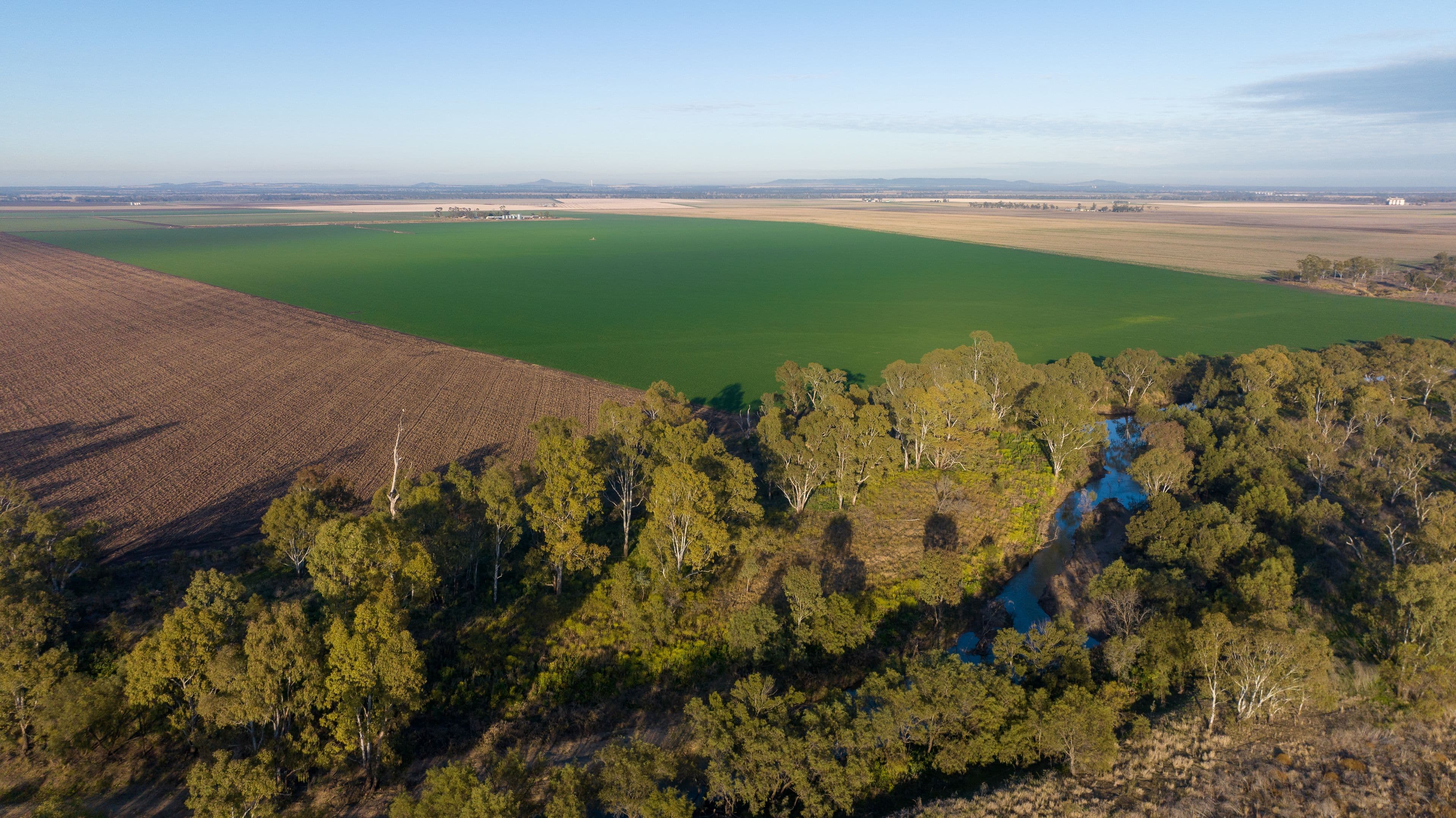 "Bethel" 575 Millmerran-Leyburn Road, Yandilla QLD 4352, Yandilla - Thumbnail 3