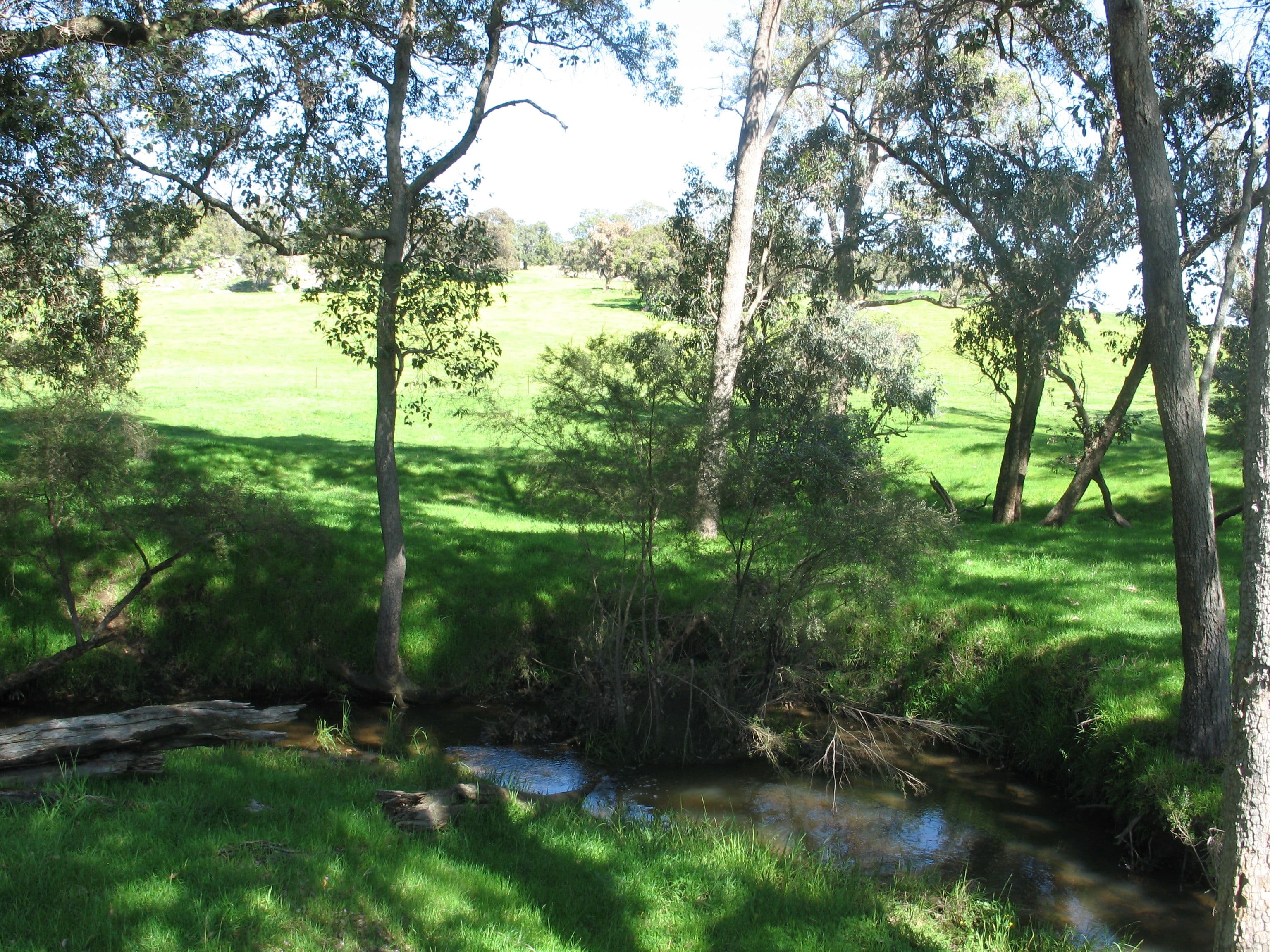 199 Morell Road, North Dandalup WA 6207, North Dandalup - Thumbnail 6