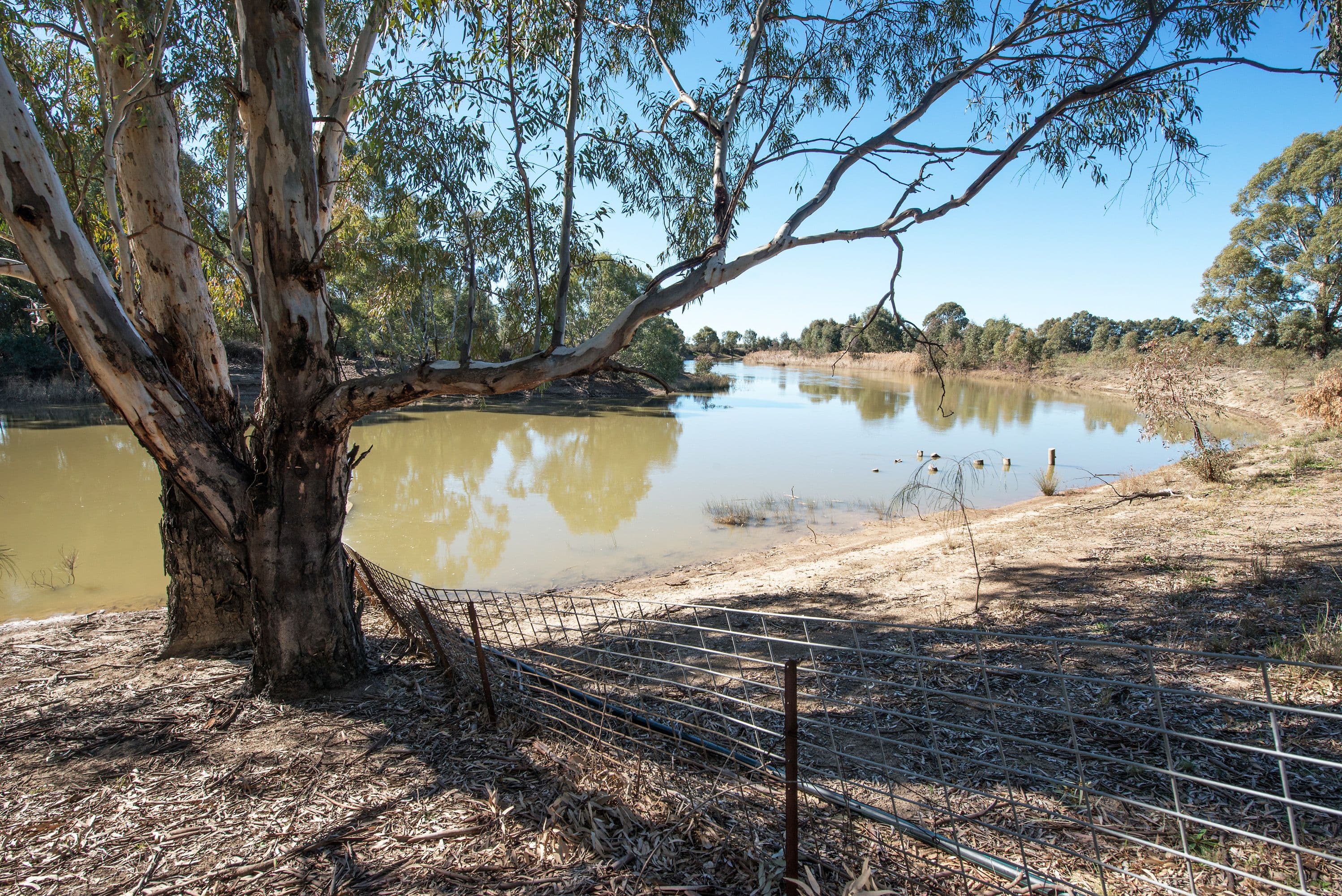 156 Maher Road, Swan Hill VIC 3585, Swan Hill - Thumbnail 2