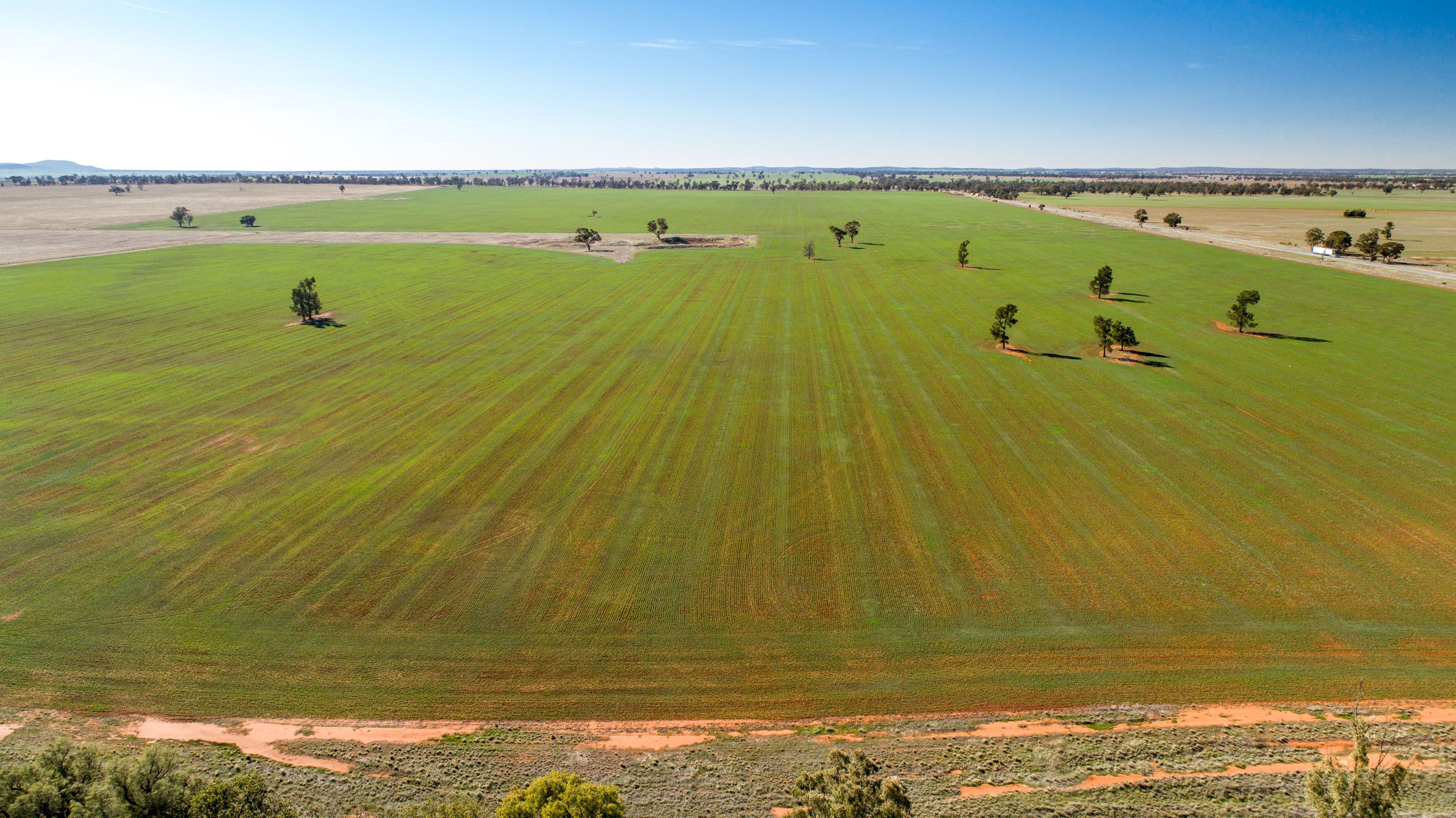 Narrandera NSW 2700, Narrandera - Thumbnail 4