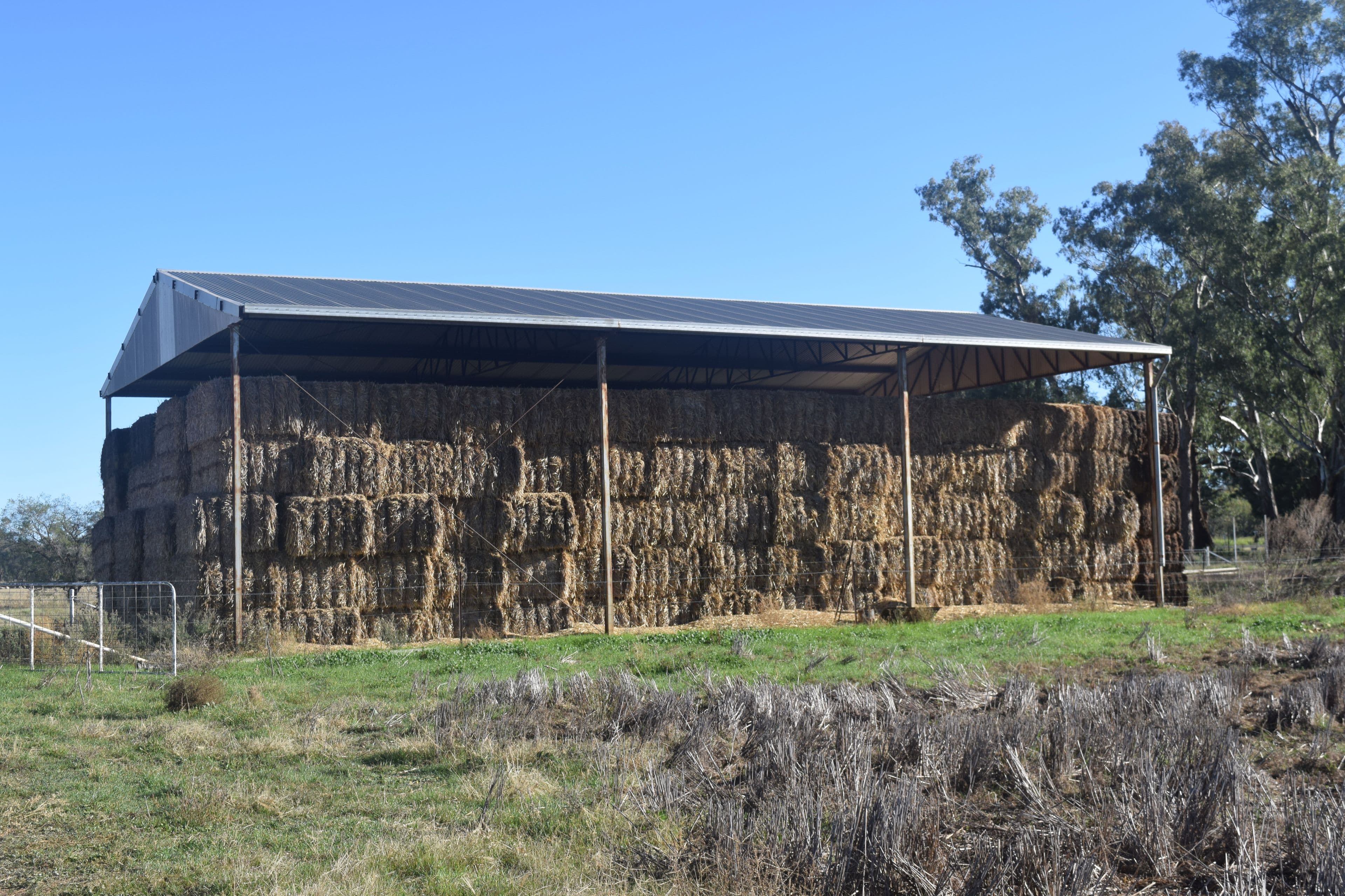 3013 Lachlan Valley Way 'Mareetha', Forbes NSW 2871, Forbes - Thumbnail 6